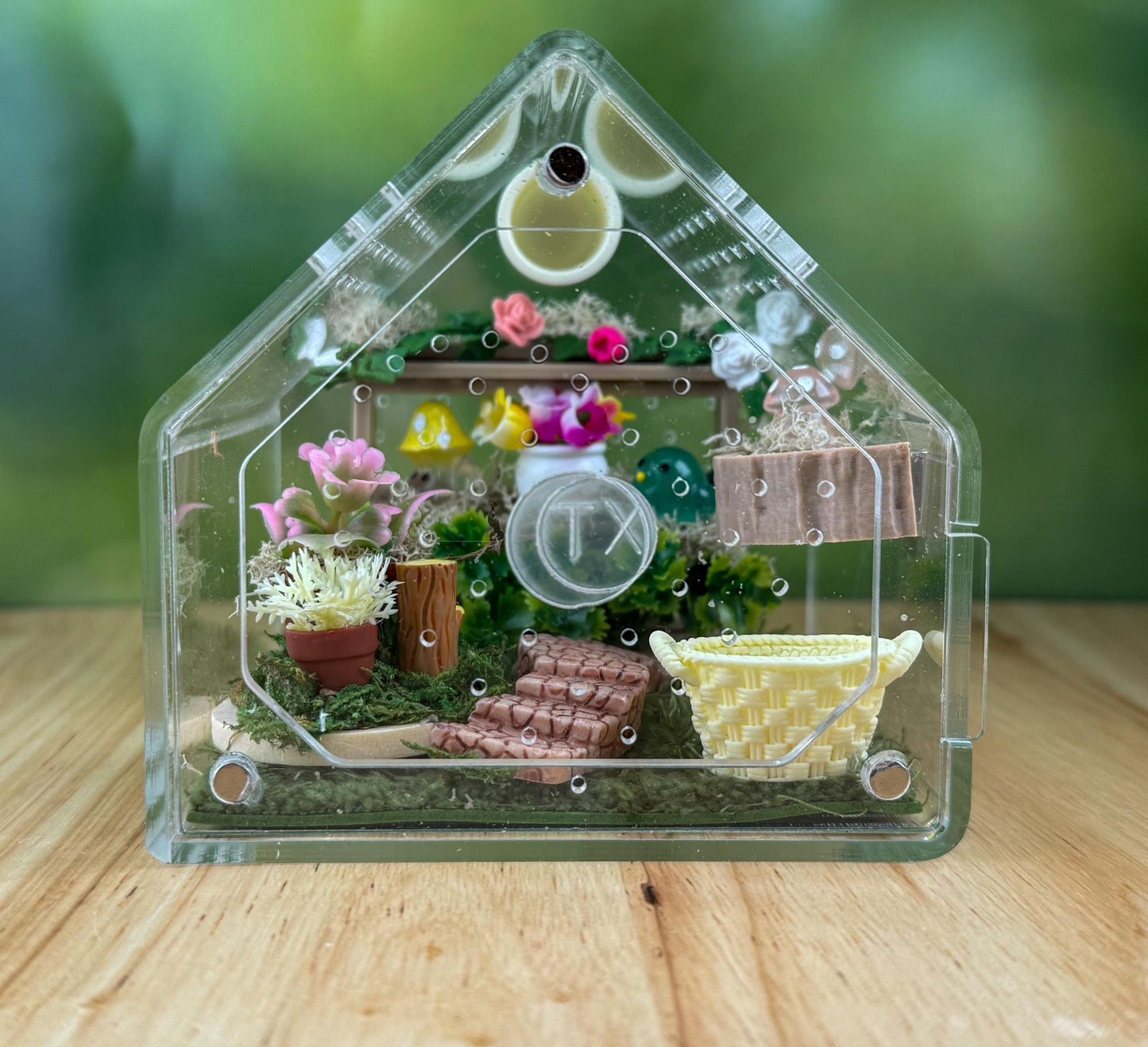 Decorated Acrylic Jumping Spider Enclosure, Front Opening Habitat 3.75x3.75x3.75