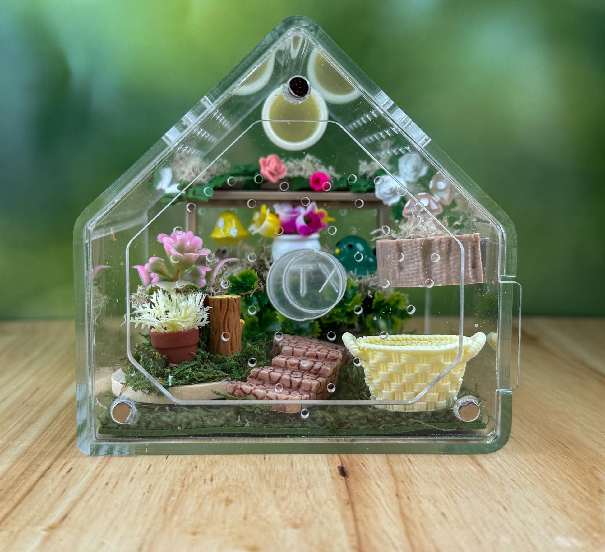 Decorated Acrylic Jumping Spider Enclosure, Front Opening Habitat 3.75x3.75x3.75