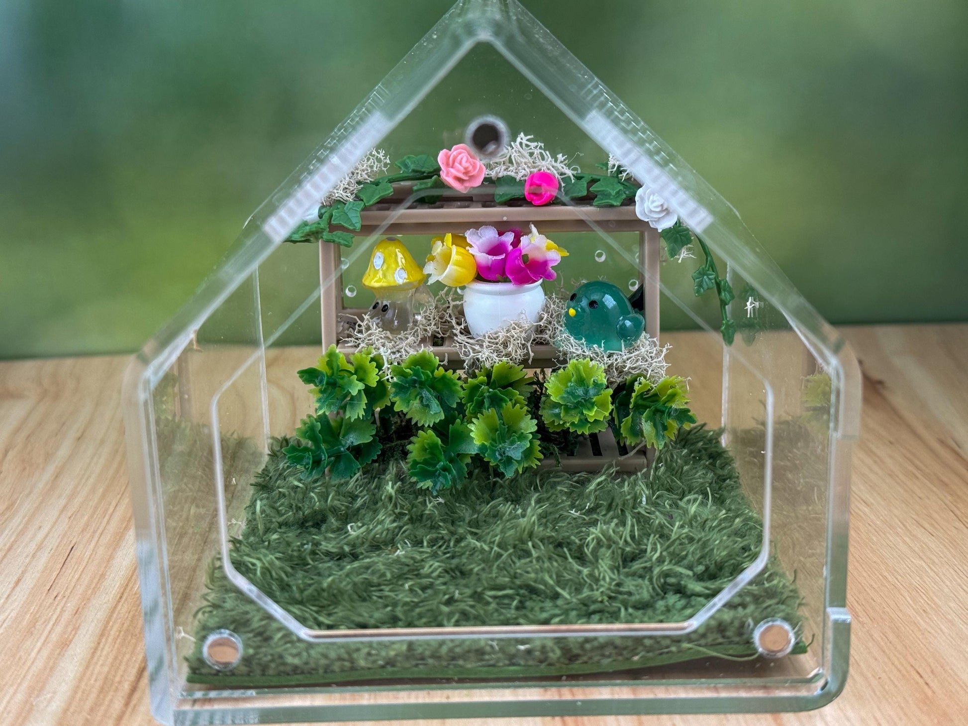 Decorated Acrylic Jumping Spider Enclosure, Front Opening Habitat 3.75x3.75x3.75