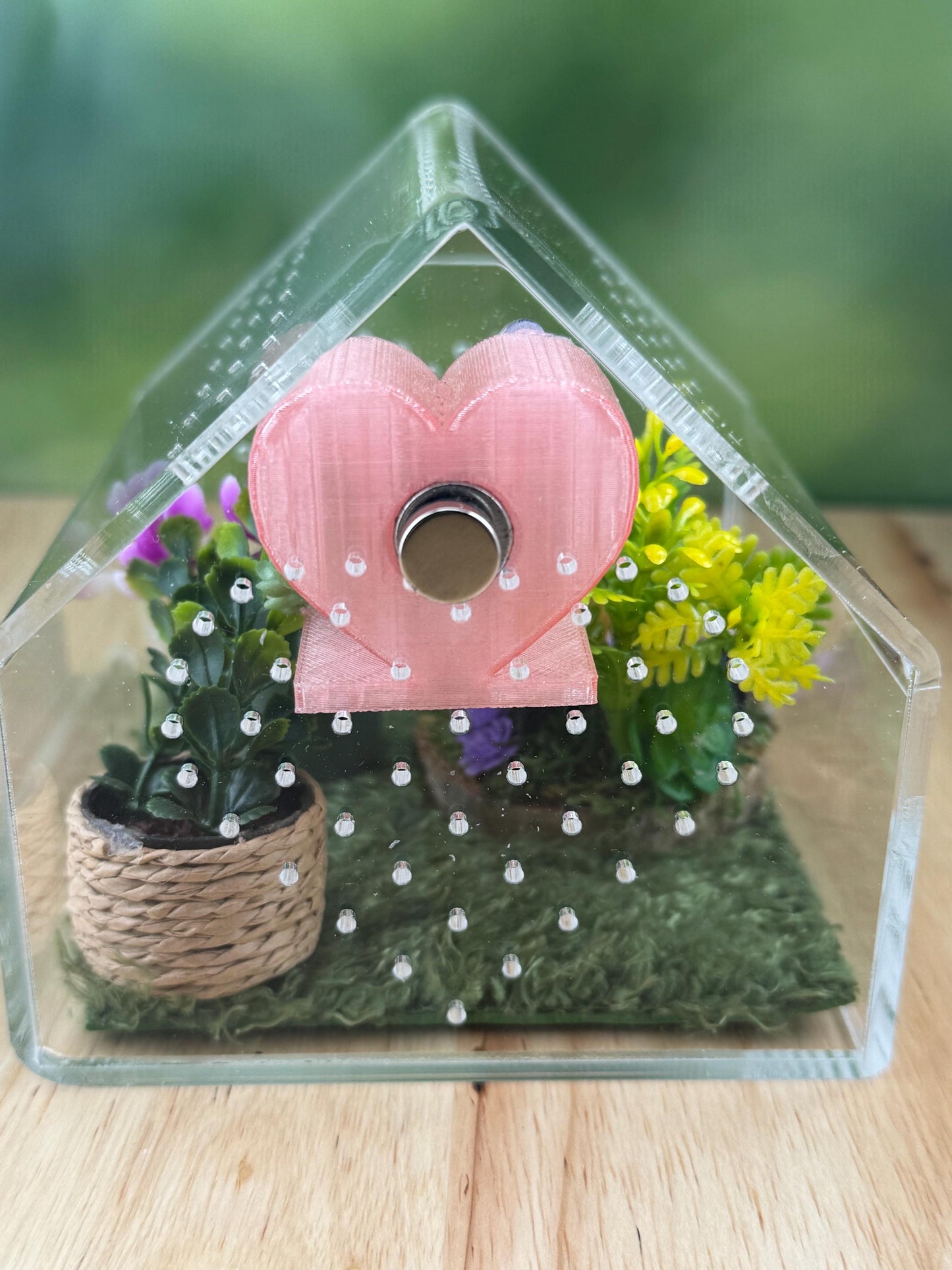 Decorated Acrylic Jumping Spider Enclosure, Front Opening Habitat 3.75x3.75x3.75