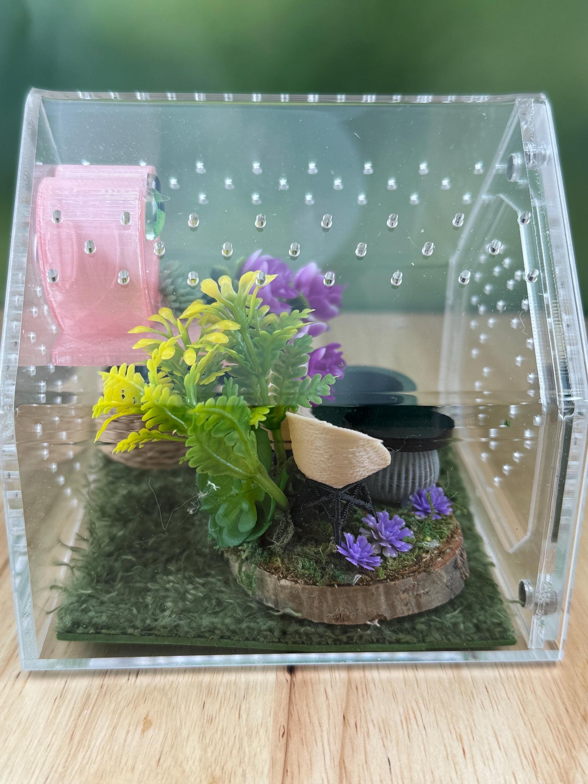 Decorated Acrylic Jumping Spider Enclosure, Front Opening Habitat 3.75x3.75x3.75