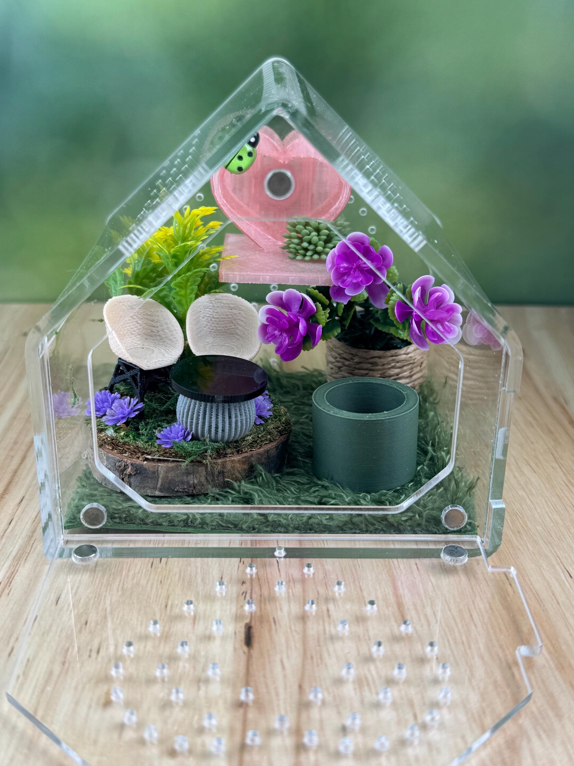 Decorated Acrylic Jumping Spider Enclosure, Front Opening Habitat 3.75x3.75x3.75
