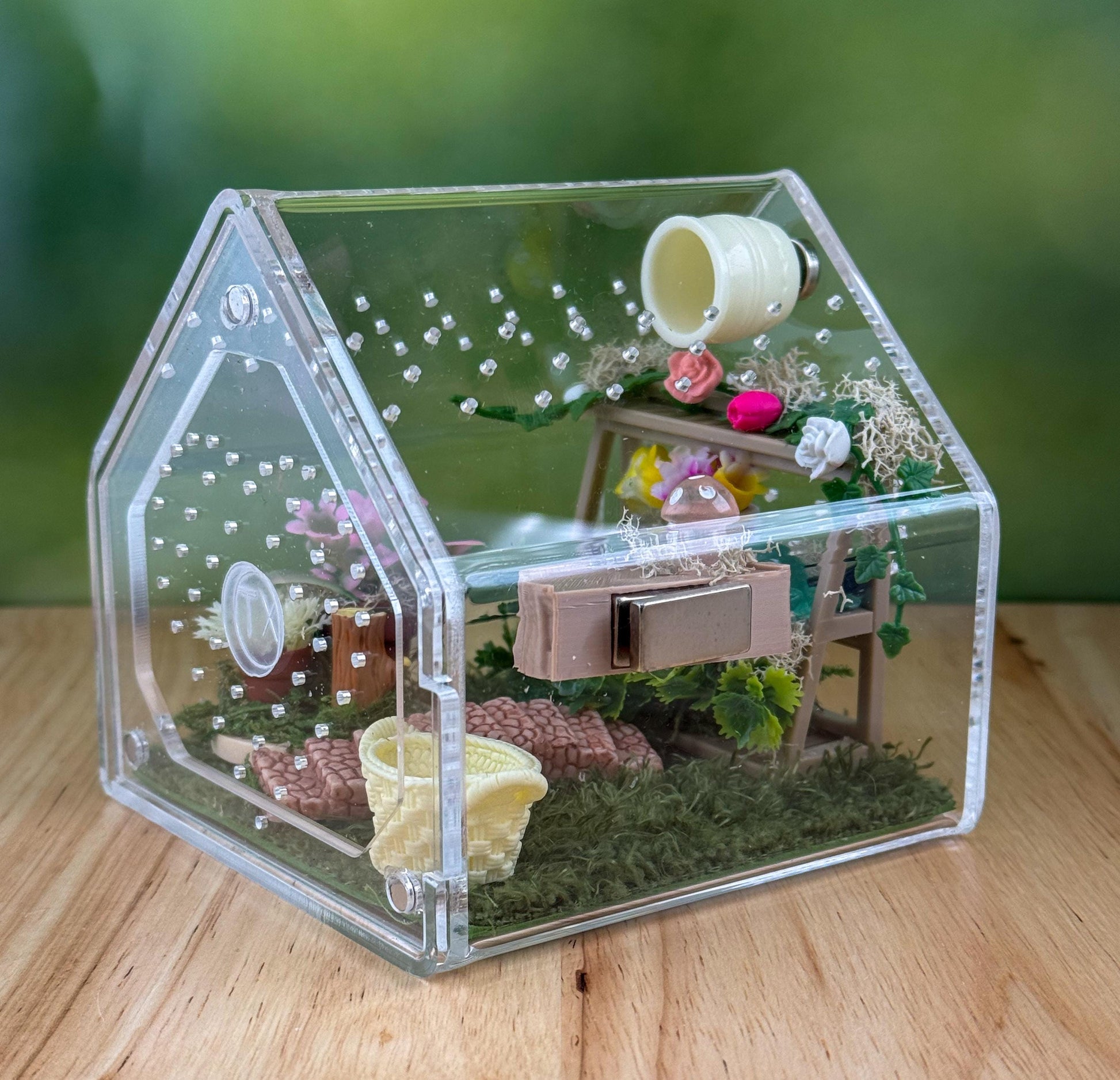 Decorated Acrylic Jumping Spider Enclosure, Front Opening Habitat 3.75x3.75x3.75
