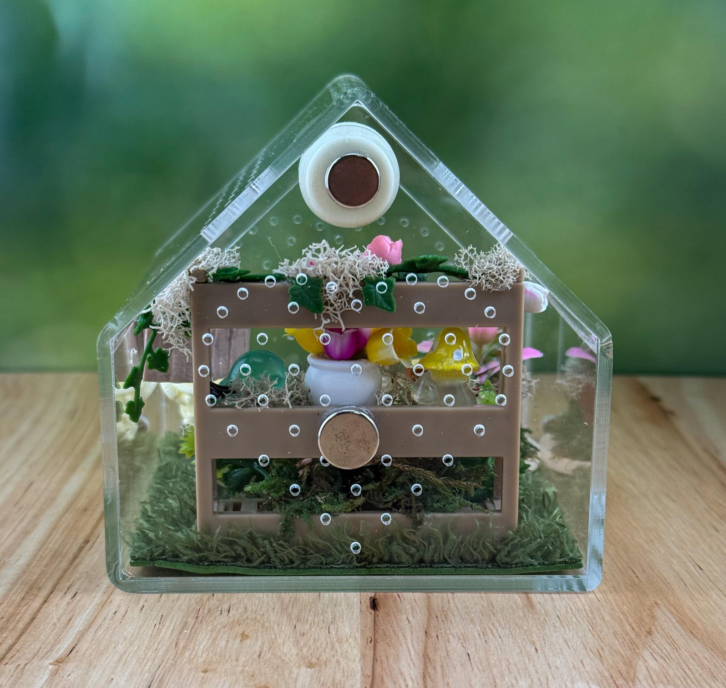Decorated Acrylic Jumping Spider Enclosure, Front Opening Habitat 3.75x3.75x3.75