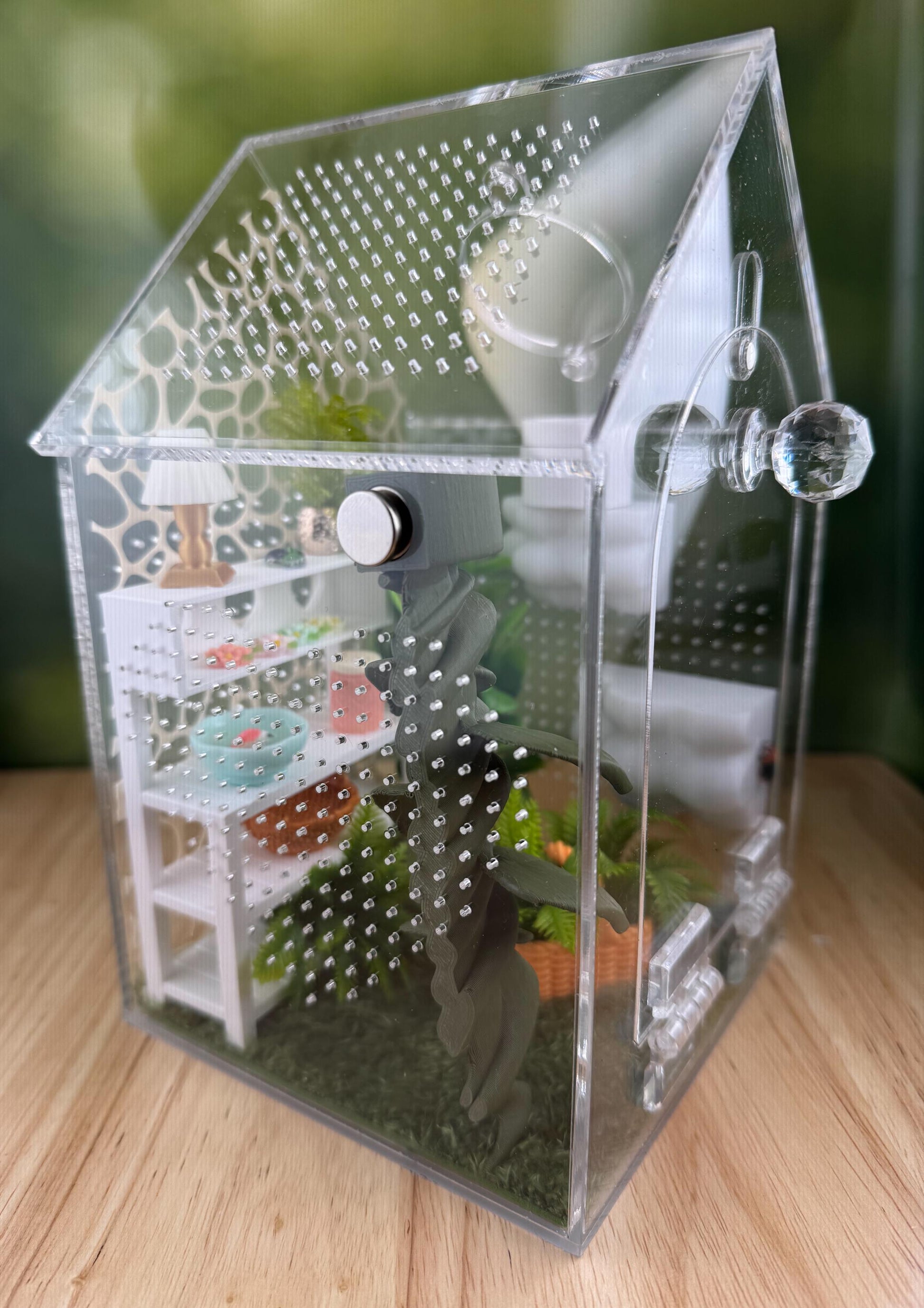 Decorated Acrylic Jumping Spider Enclosure, Front Opening Habitat (8x5x5)
