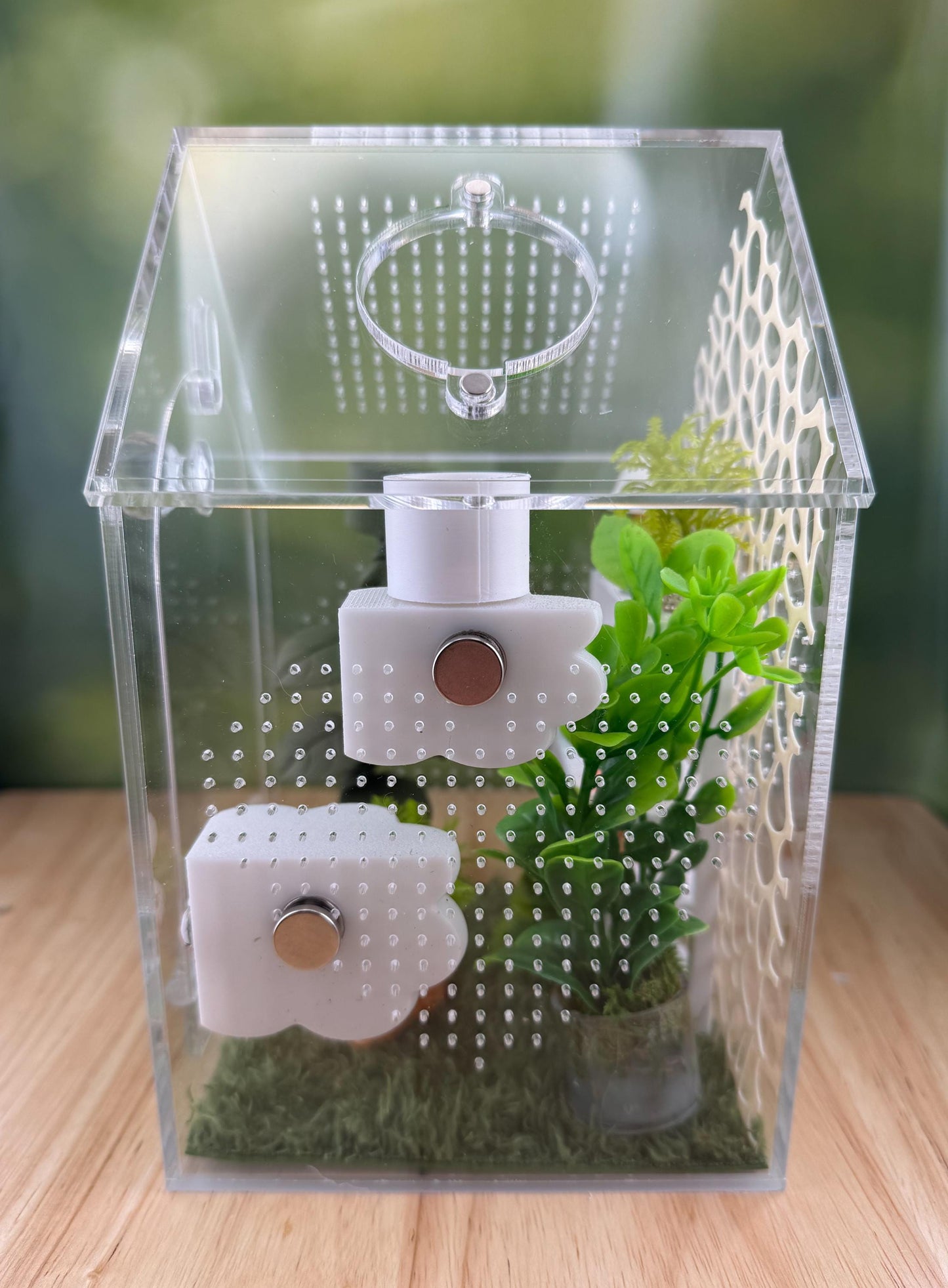 Decorated Acrylic Jumping Spider Enclosure, Front Opening Habitat (8x5x5)