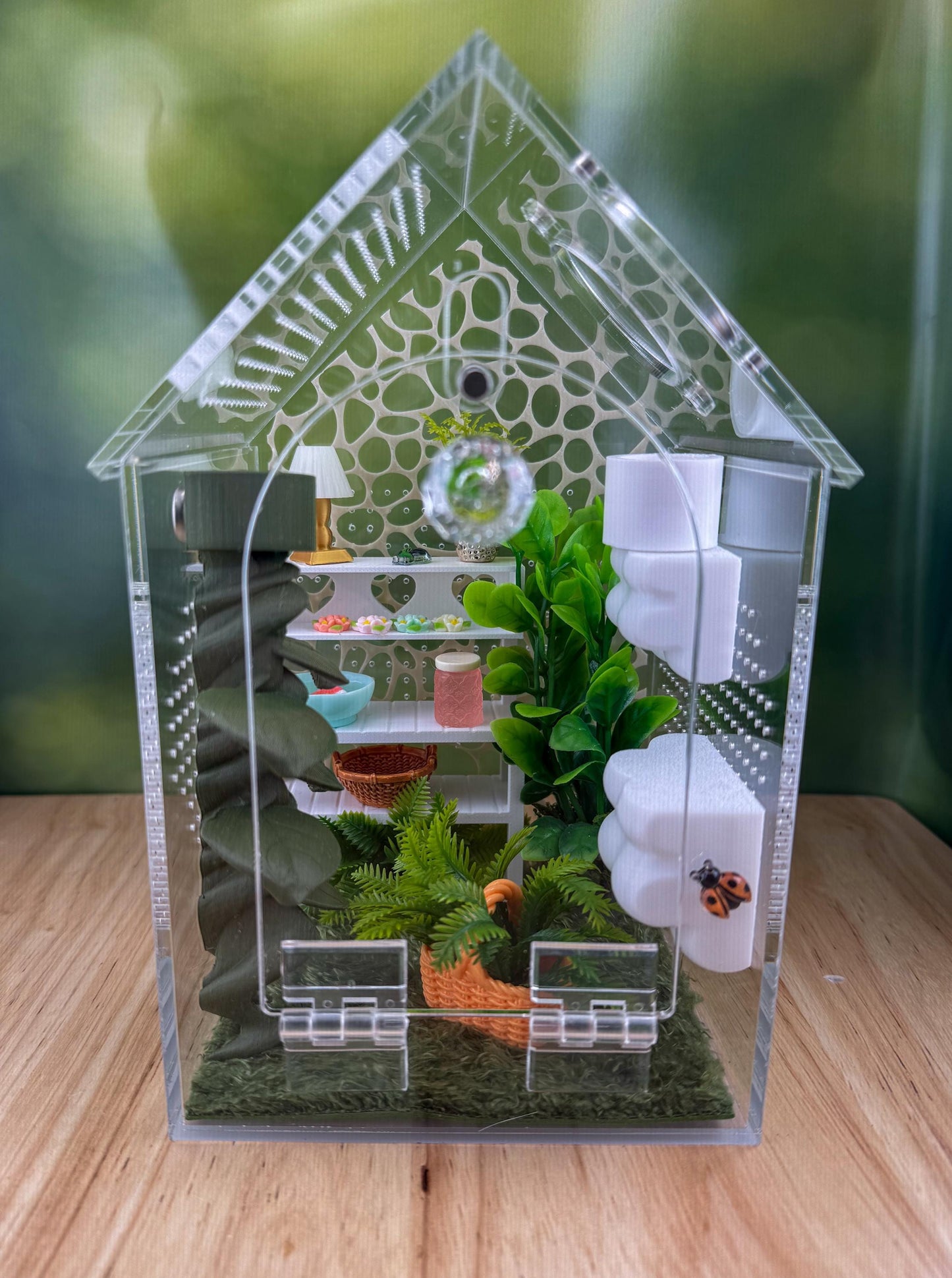 Decorated Acrylic Jumping Spider Enclosure, Front Opening Habitat (8x5x5)