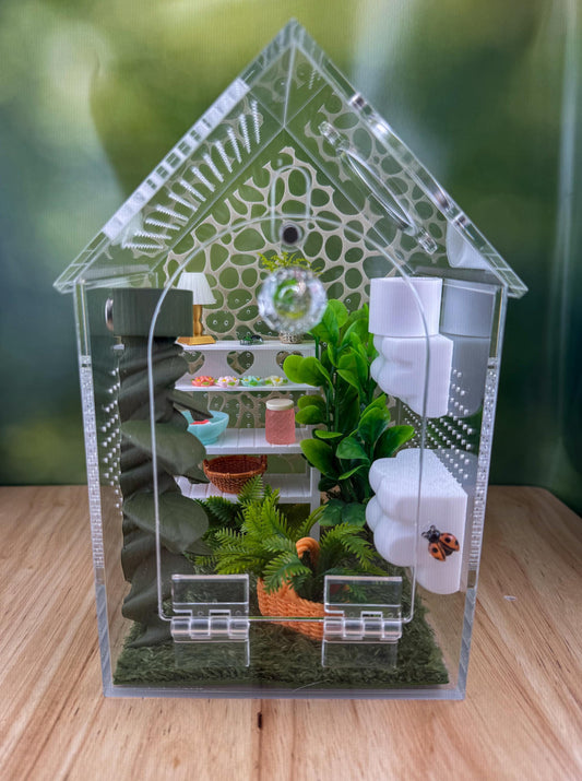 Decorated Acrylic Jumping Spider Enclosure, Front Opening Habitat (8x5x5)