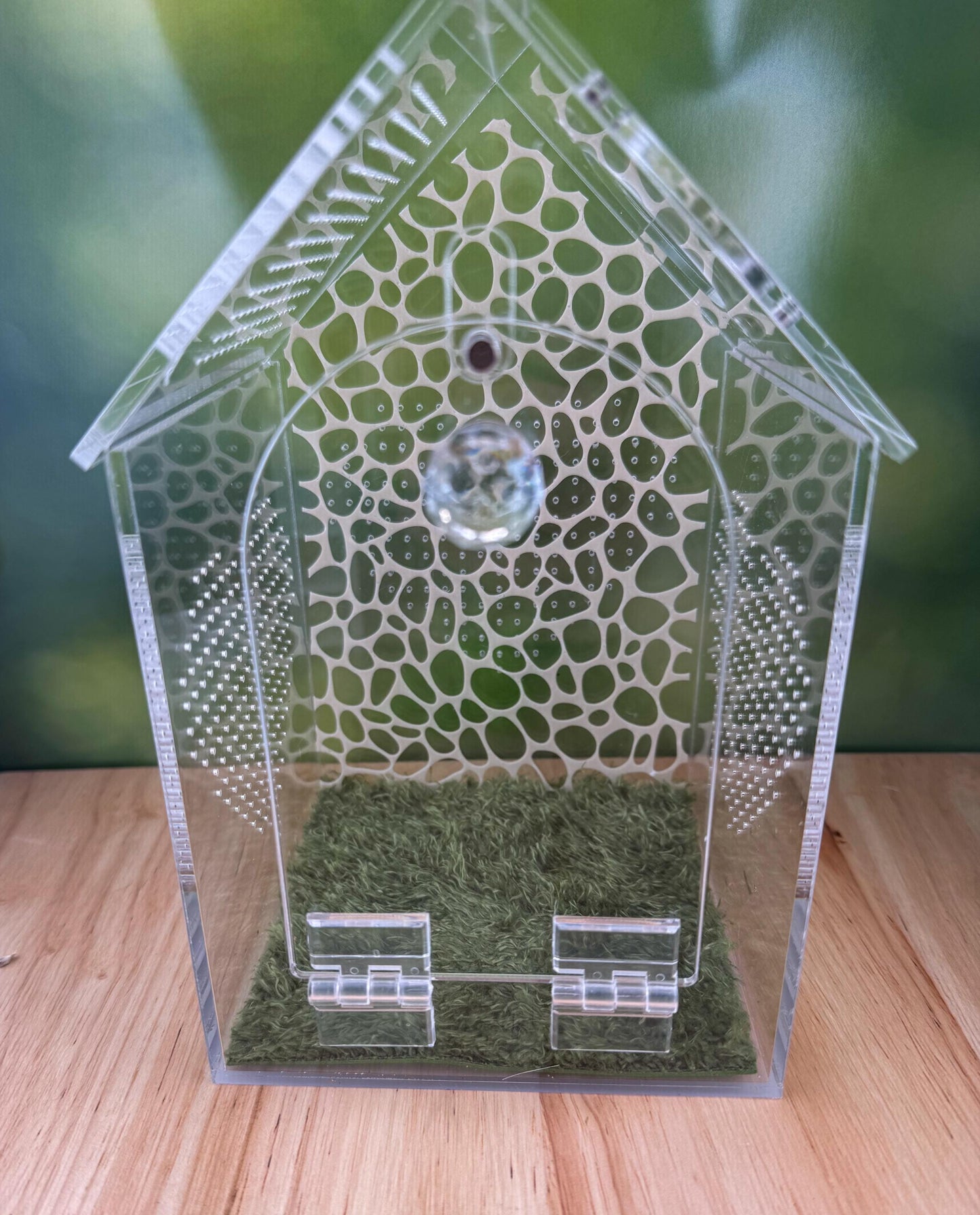 Decorated Acrylic Jumping Spider Enclosure, Front Opening Habitat (8x5x5)