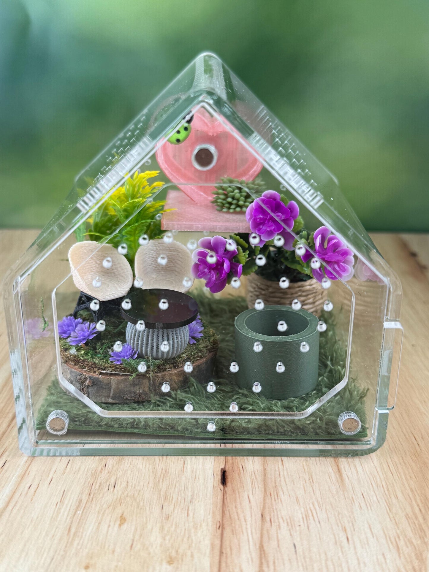 Decorated Acrylic Jumping Spider Enclosure, Front Opening Habitat 3.75x3.75x3.75