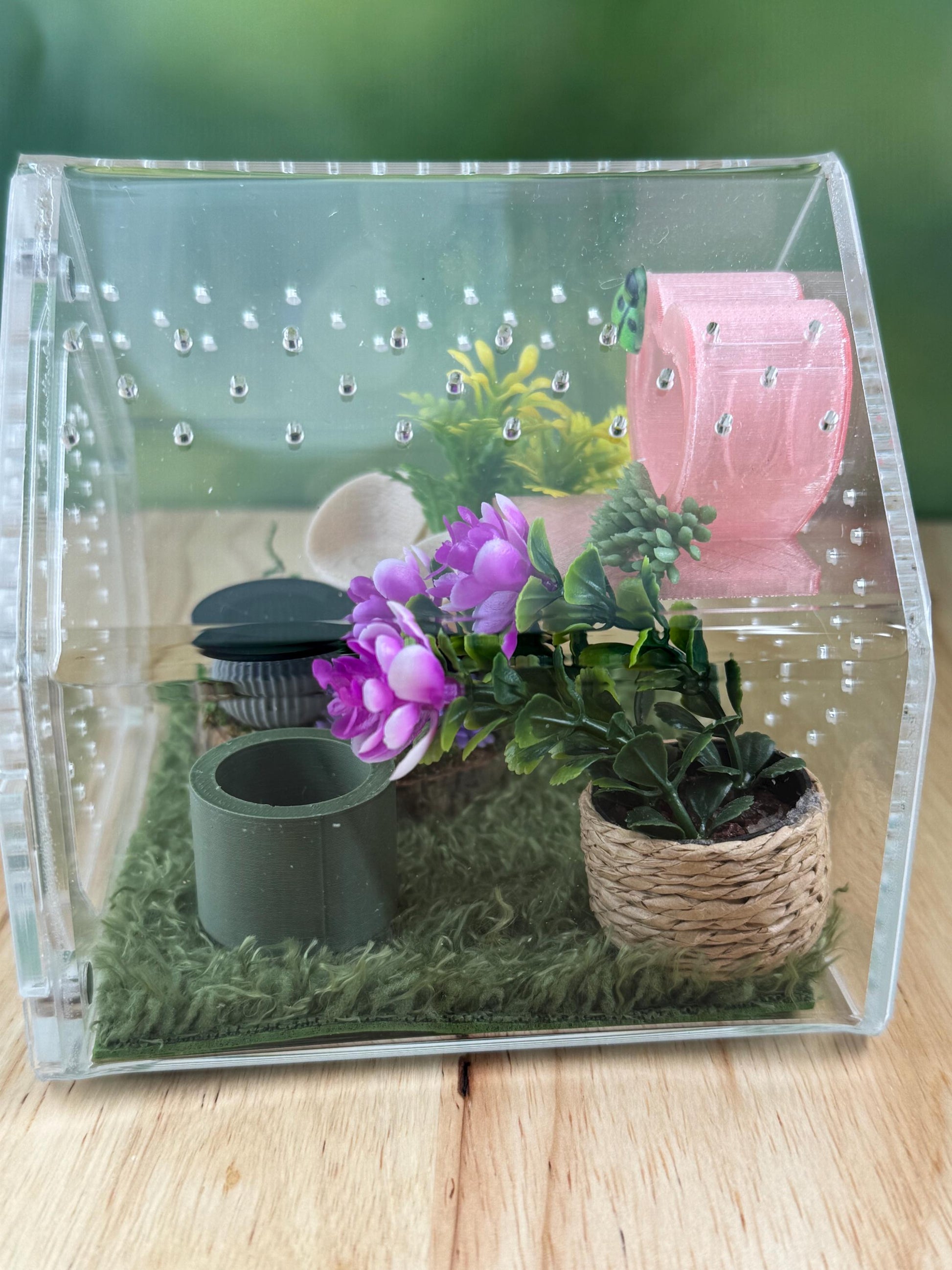 Decorated Acrylic Jumping Spider Enclosure, Front Opening Habitat 3.75x3.75x3.75