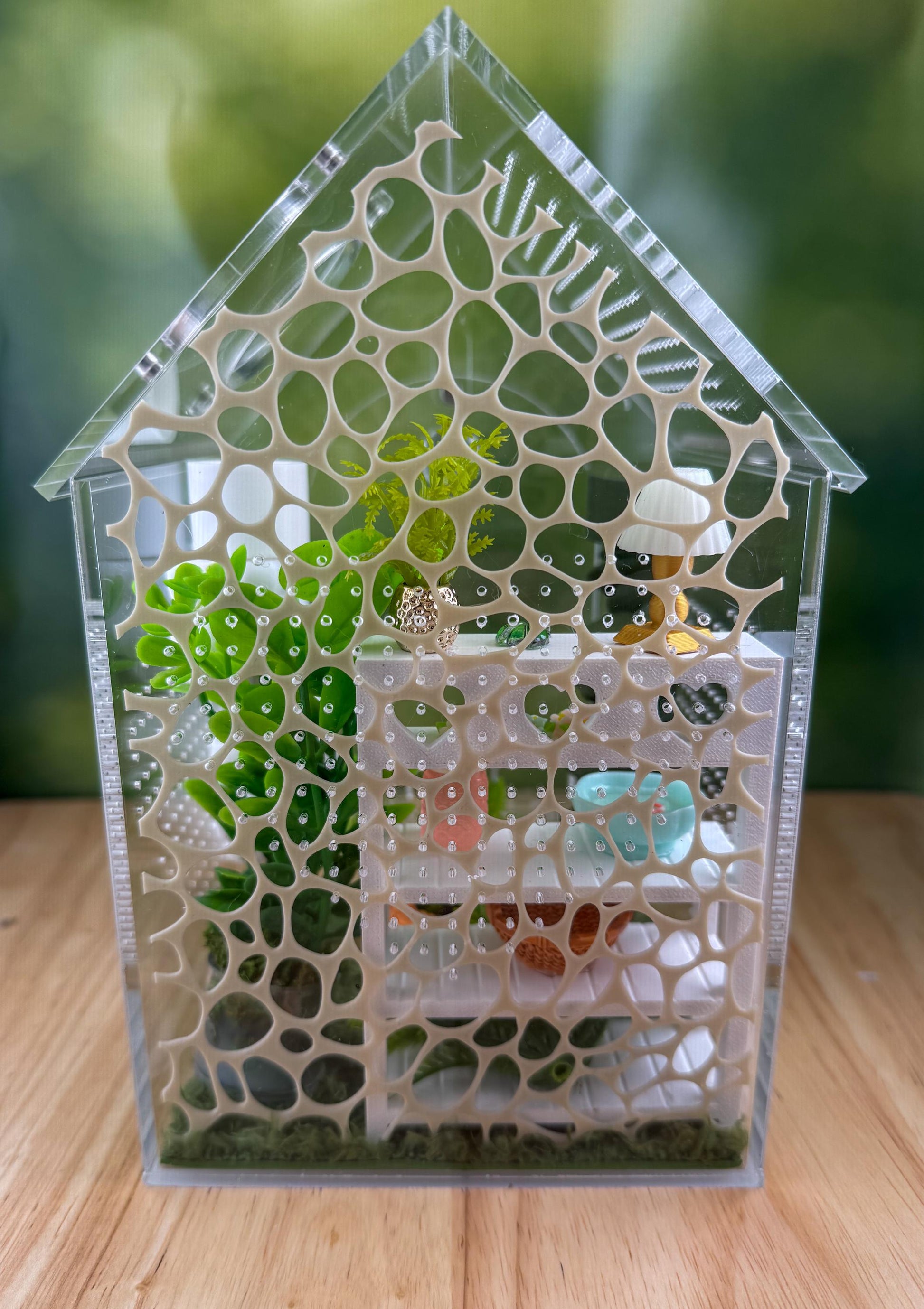 Decorated Acrylic Jumping Spider Enclosure, Front Opening Habitat (8x5x5)