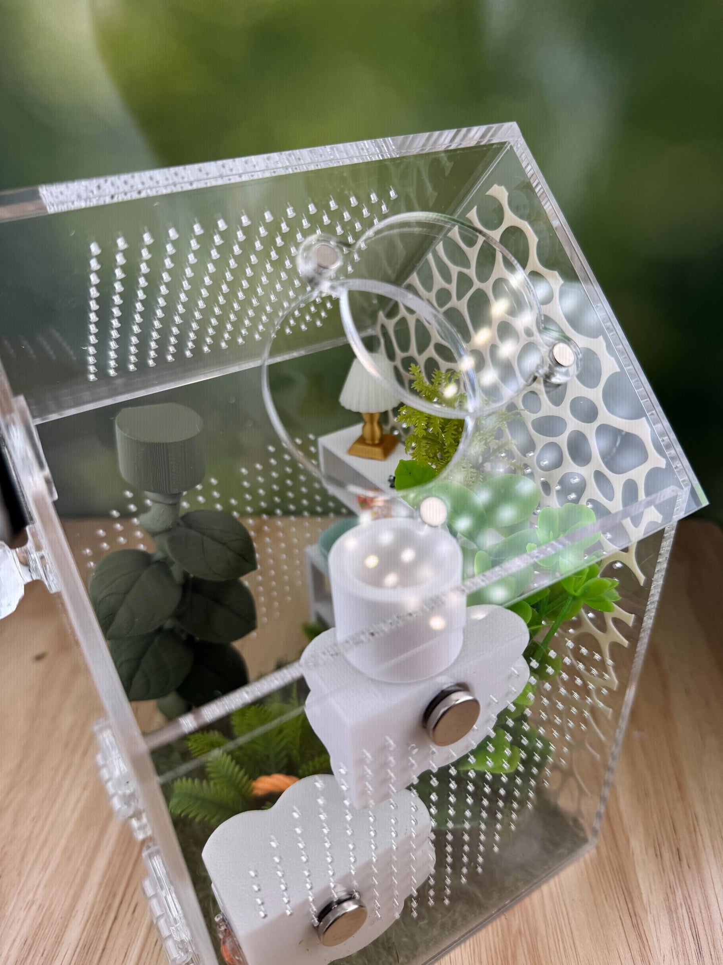 Decorated Acrylic Jumping Spider Enclosure, Front Opening Habitat (8x5x5)