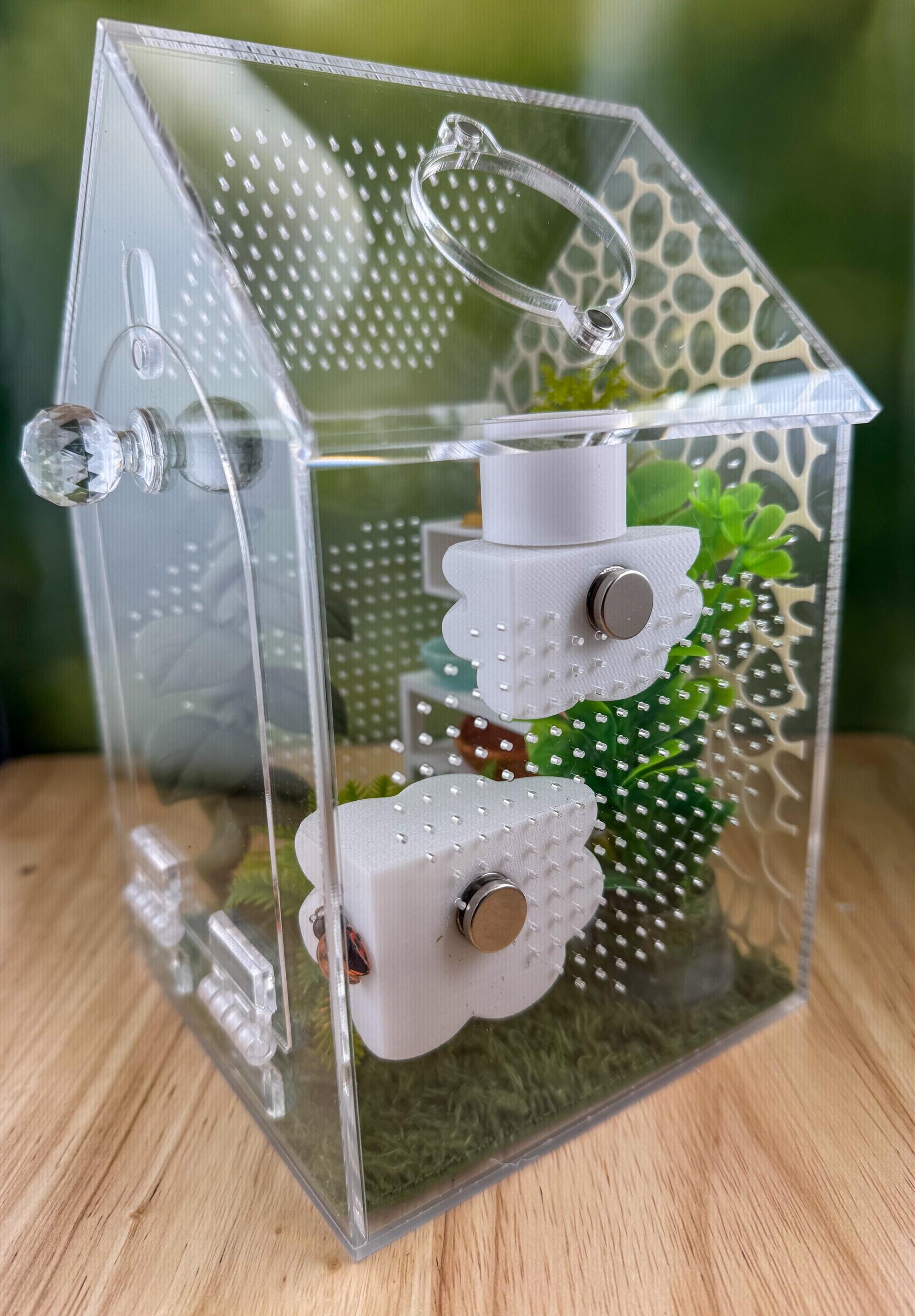 Decorated Acrylic Jumping Spider Enclosure, Front Opening Habitat (8x5x5)
