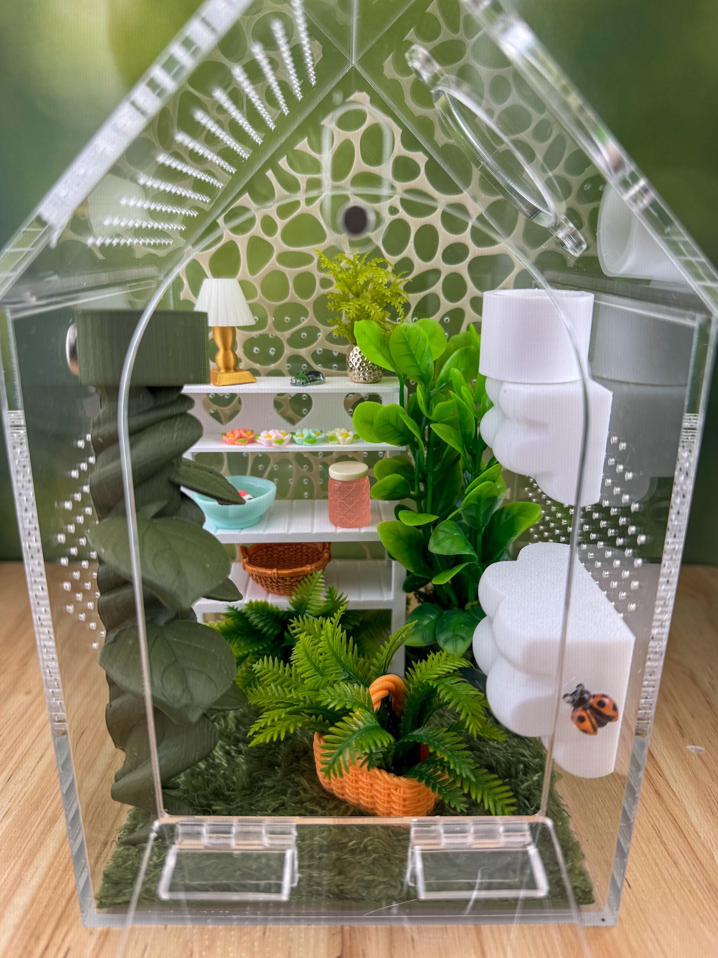 Decorated Acrylic Jumping Spider Enclosure, Front Opening Habitat (8x5x5)