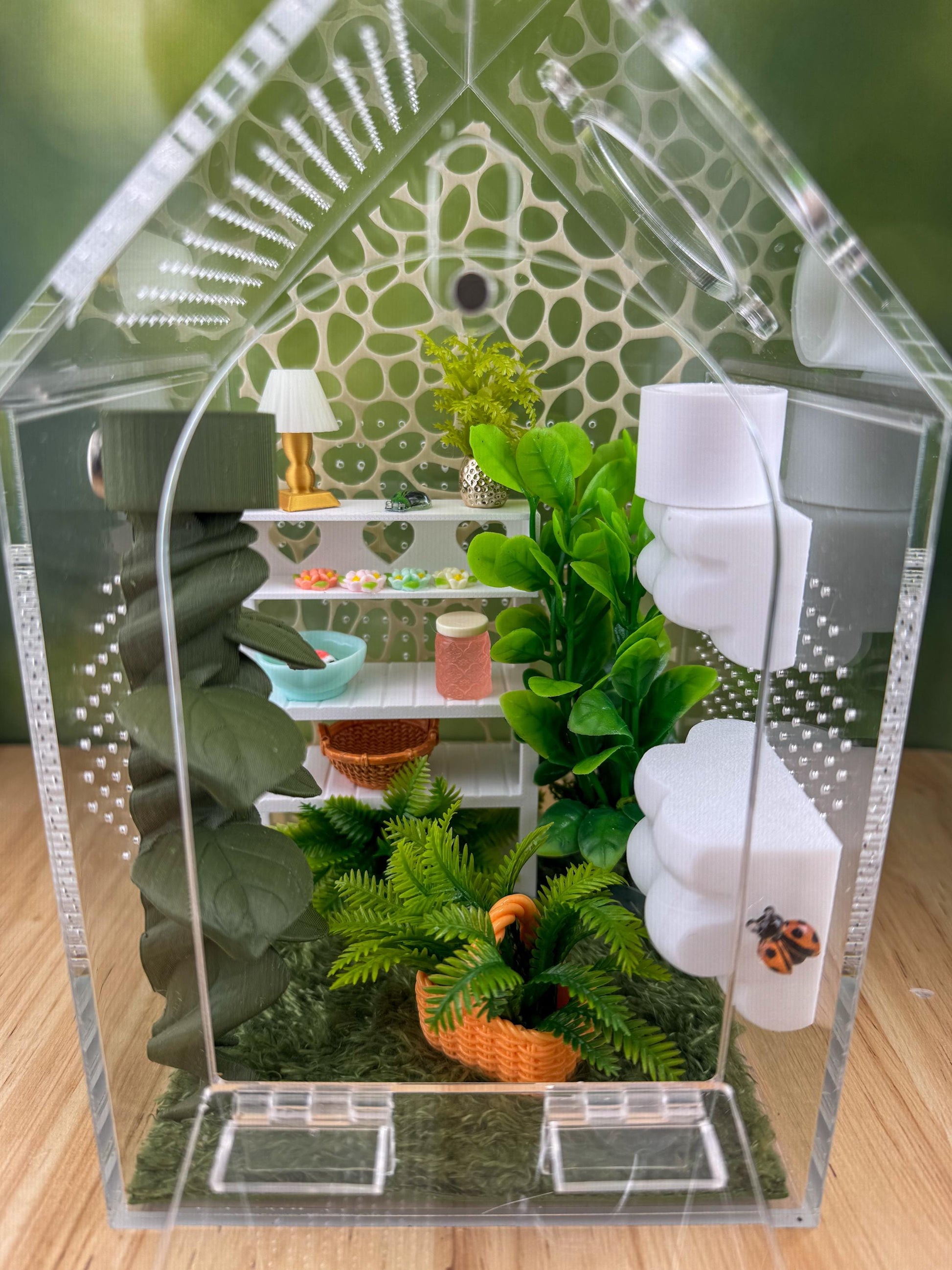 Decorated Acrylic Jumping Spider Enclosure, Front Opening Habitat (8x5x5)