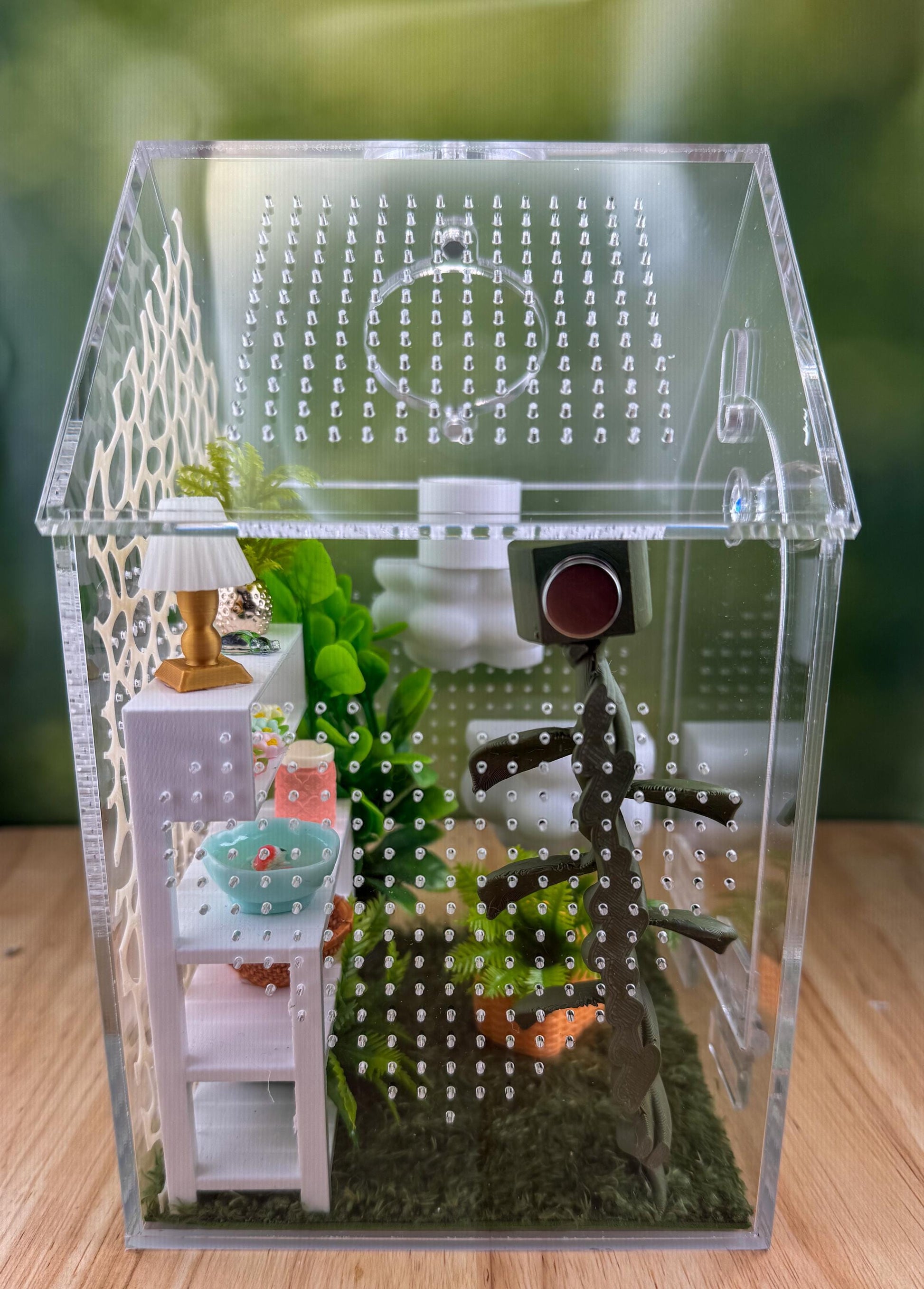 Decorated Acrylic Jumping Spider Enclosure, Front Opening Habitat (8x5x5)