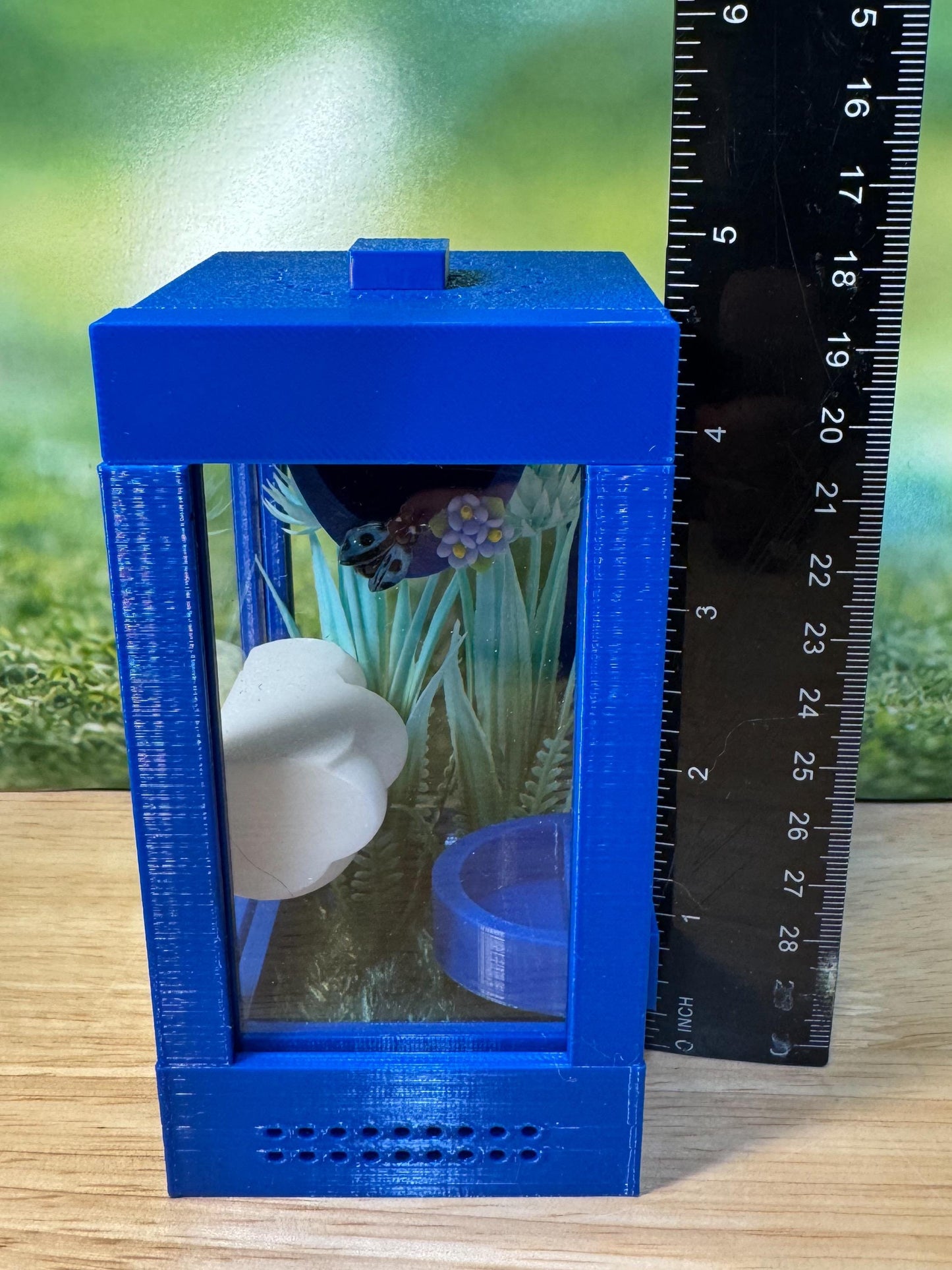 Decorated Sling Jumping Spider Enclosure with food dish and shelf