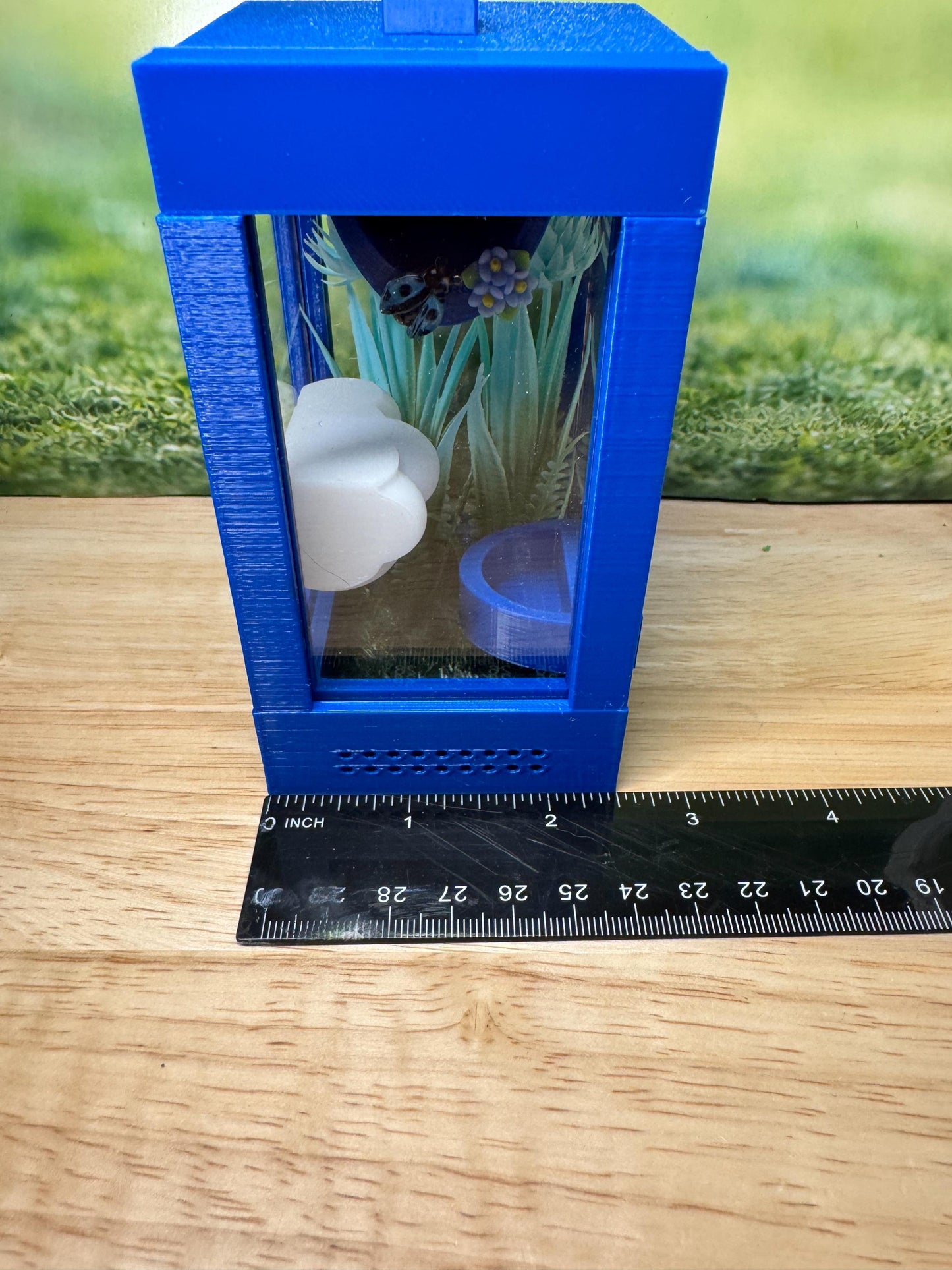 Decorated Sling Jumping Spider Enclosure with food dish and shelf