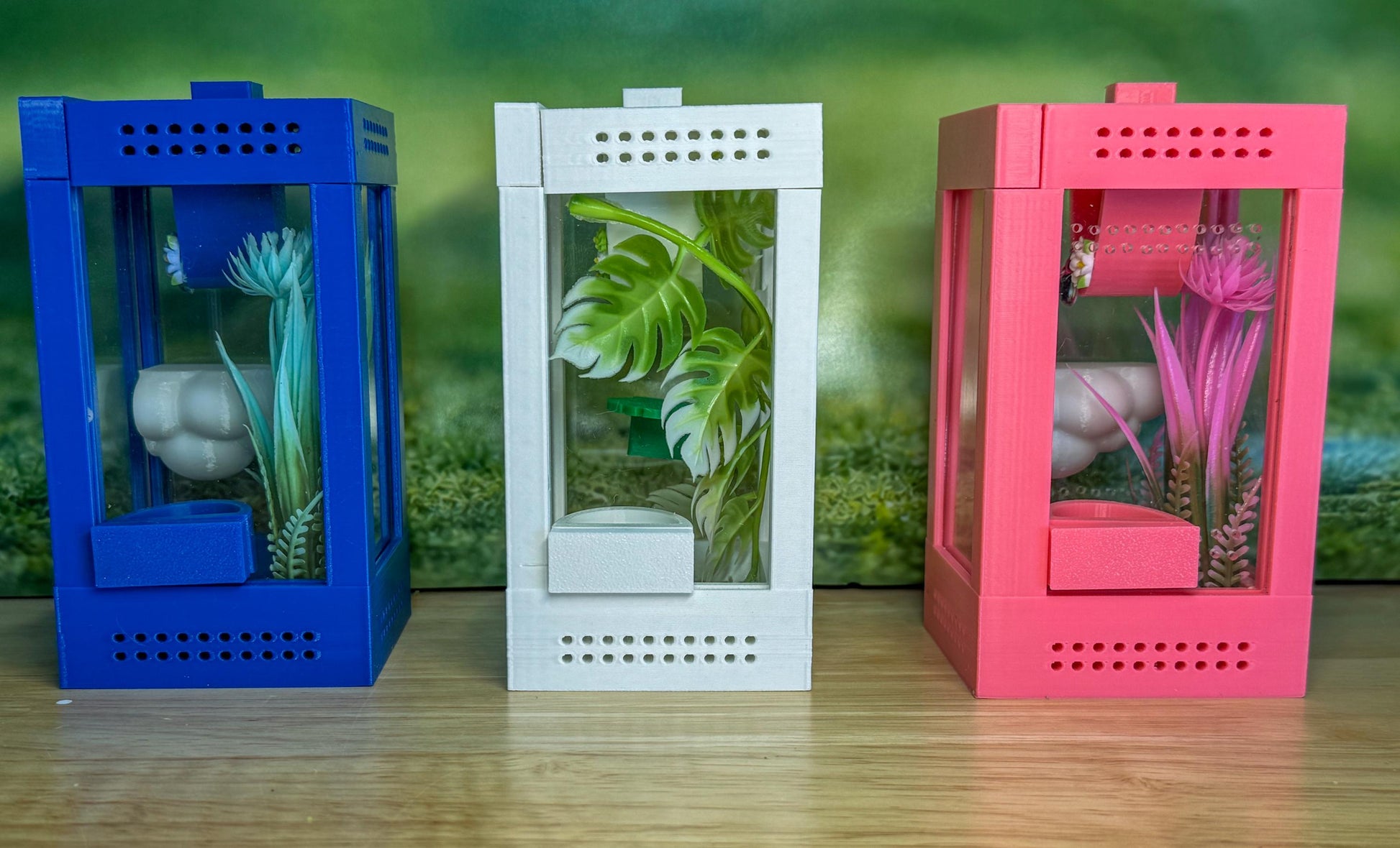 Decorated Sling Jumping Spider Enclosure with food dish and shelf