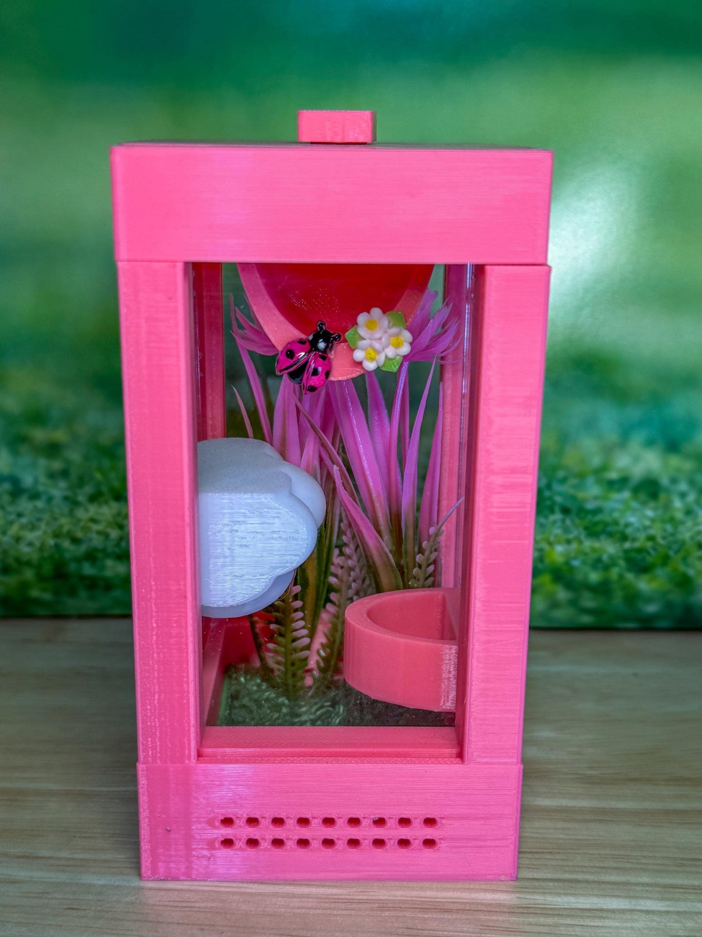 Decorated Sling Jumping Spider Enclosure with food dish and shelf