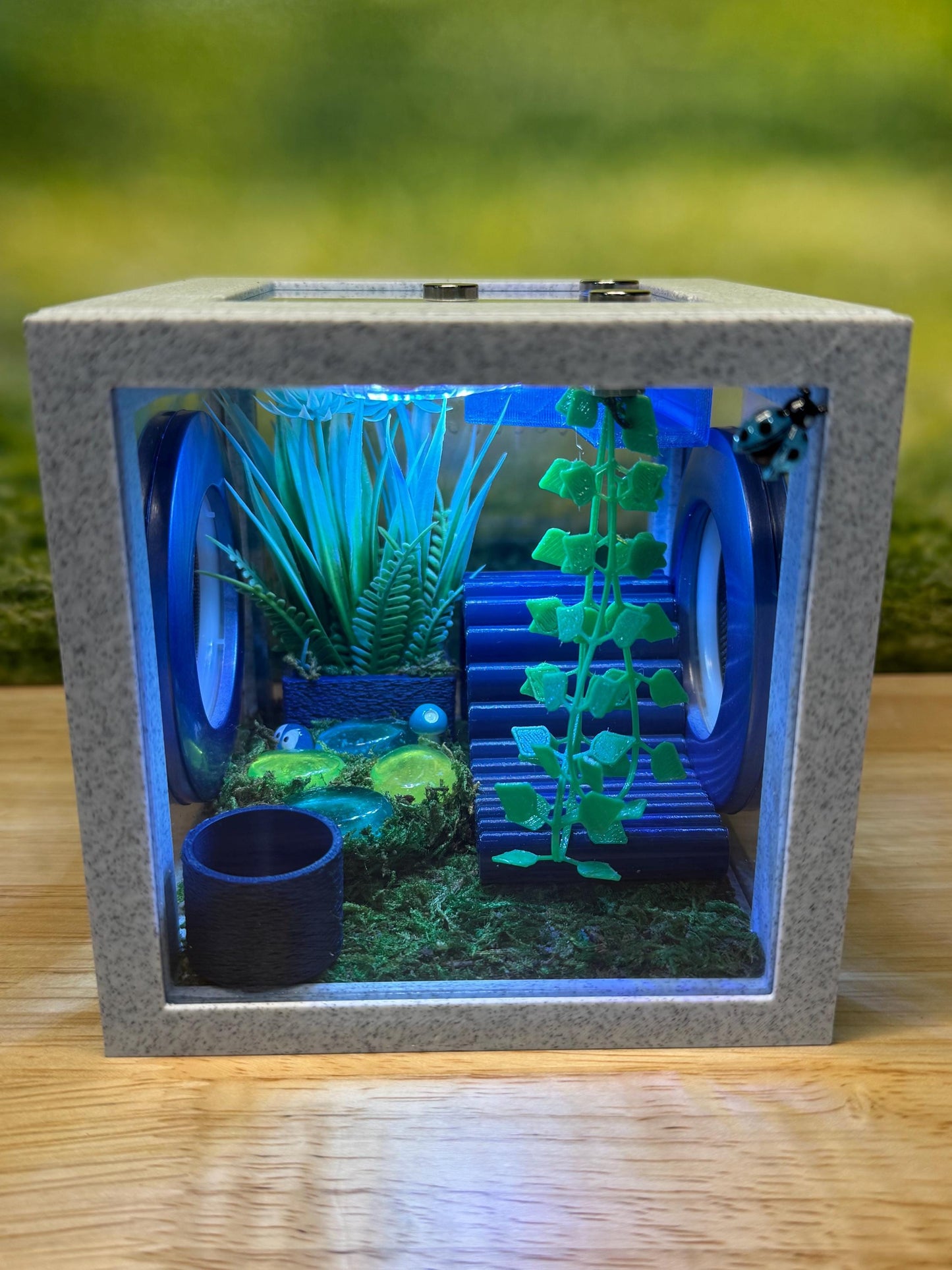 Jumping Spider Enclosure, Front Opening Habitat (4.5x4.5x4.25) Blue Marble
