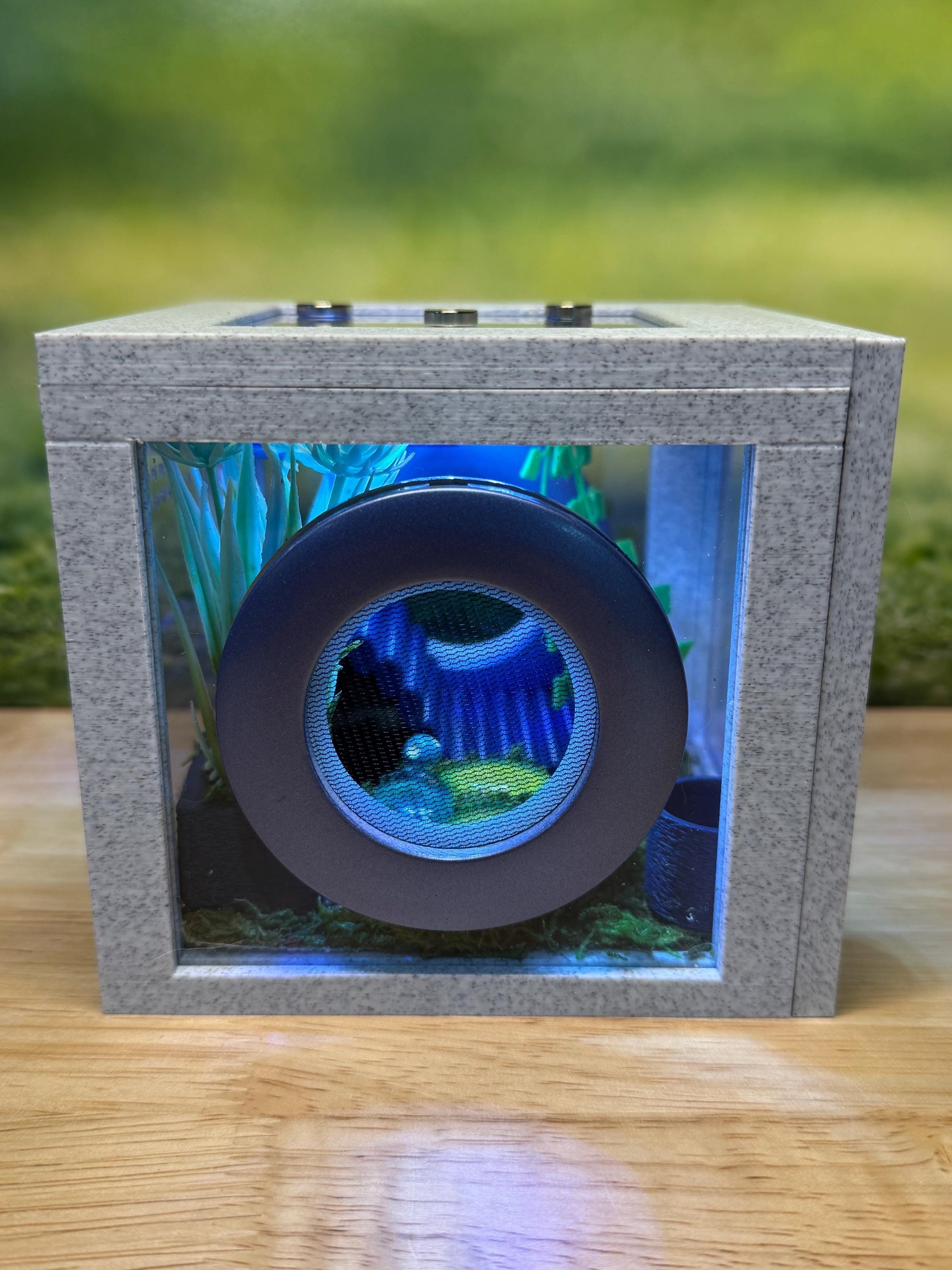 Jumping Spider Enclosure, Front Opening Habitat (4.5x4.5x4.25) Blue Marble