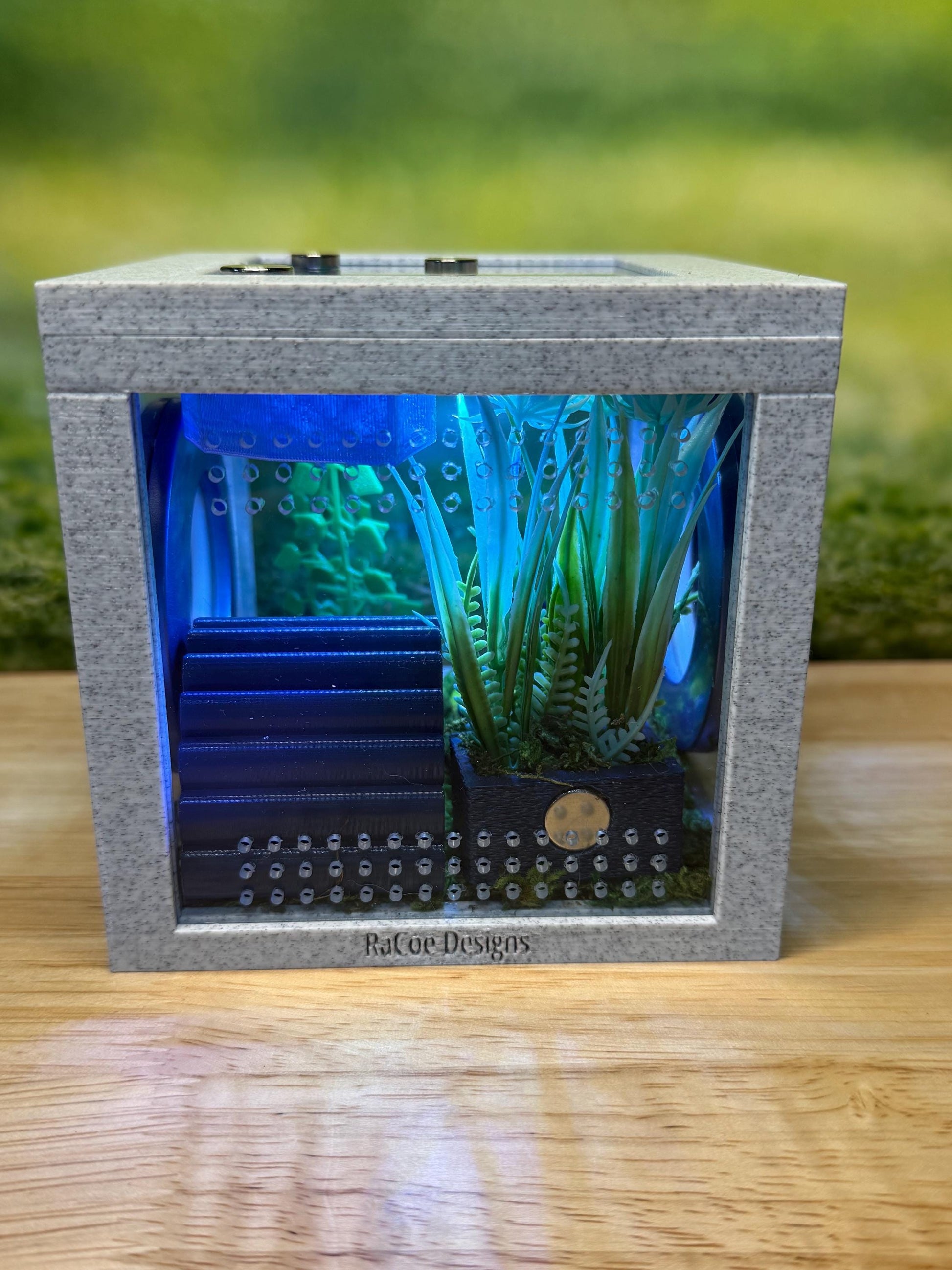 Jumping Spider Enclosure, Front Opening Habitat (4.5x4.5x4.25) Blue Marble