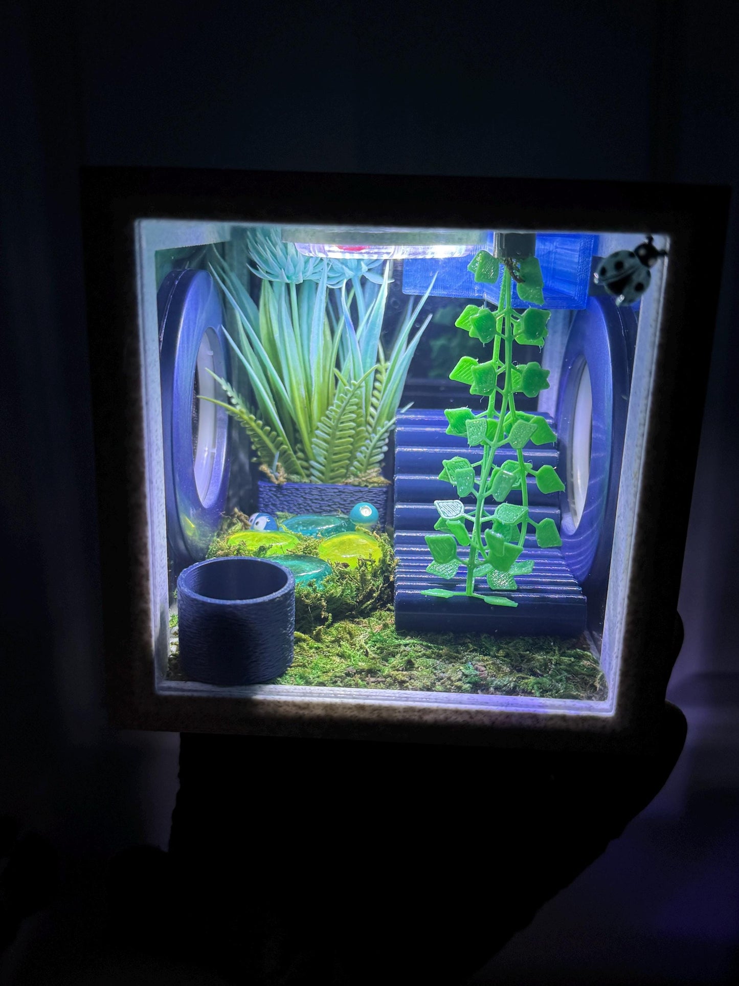 Jumping Spider Enclosure, Front Opening Habitat (4.5x4.5x4.25) Blue Marble
