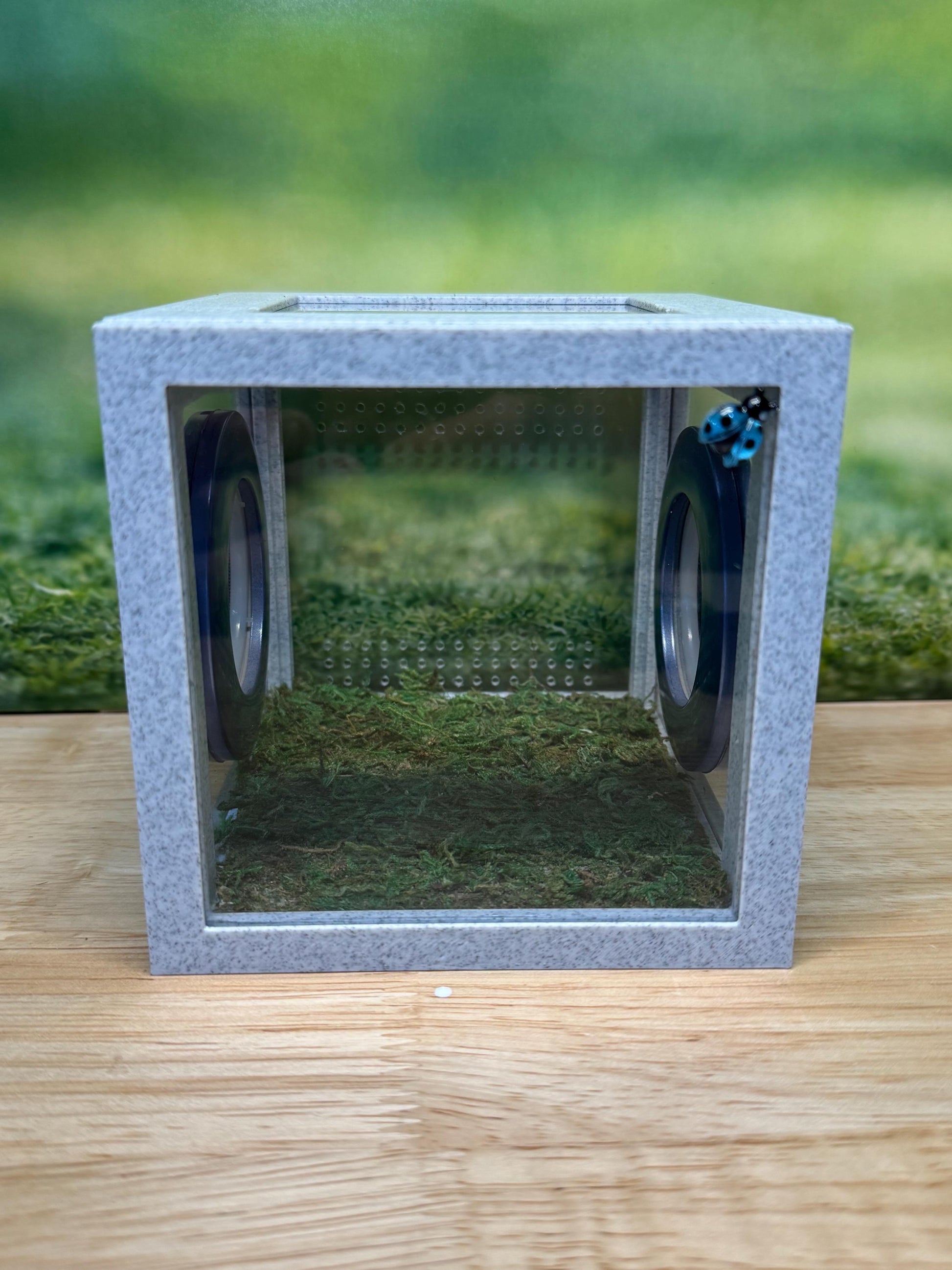 Jumping Spider Enclosure, Front Opening Habitat (4.5x4.5x4.25) Blue Marble