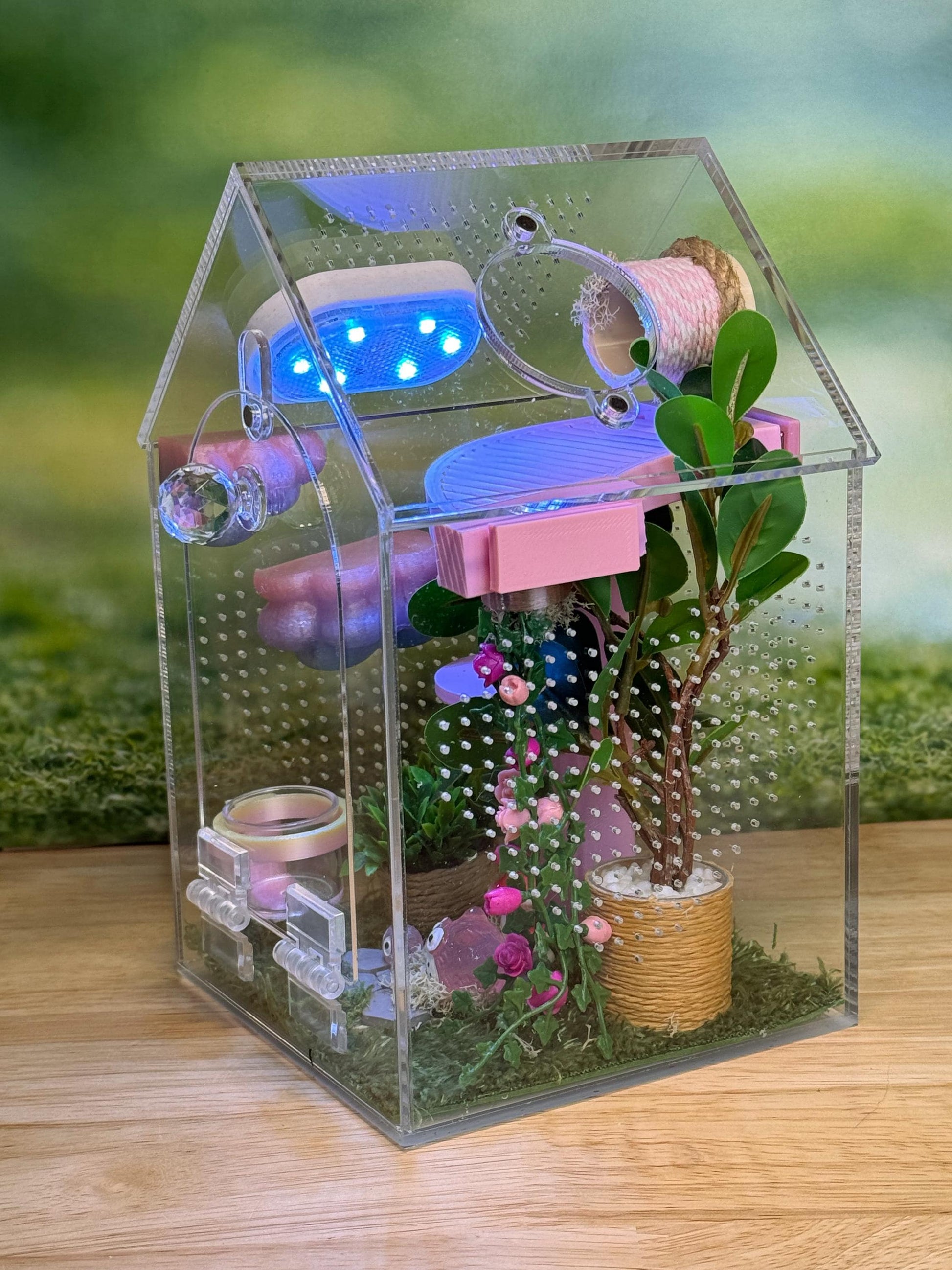 Decorated Acrylic Jumping Spider Enclosure, Front Opening Habitat (8x5x5)