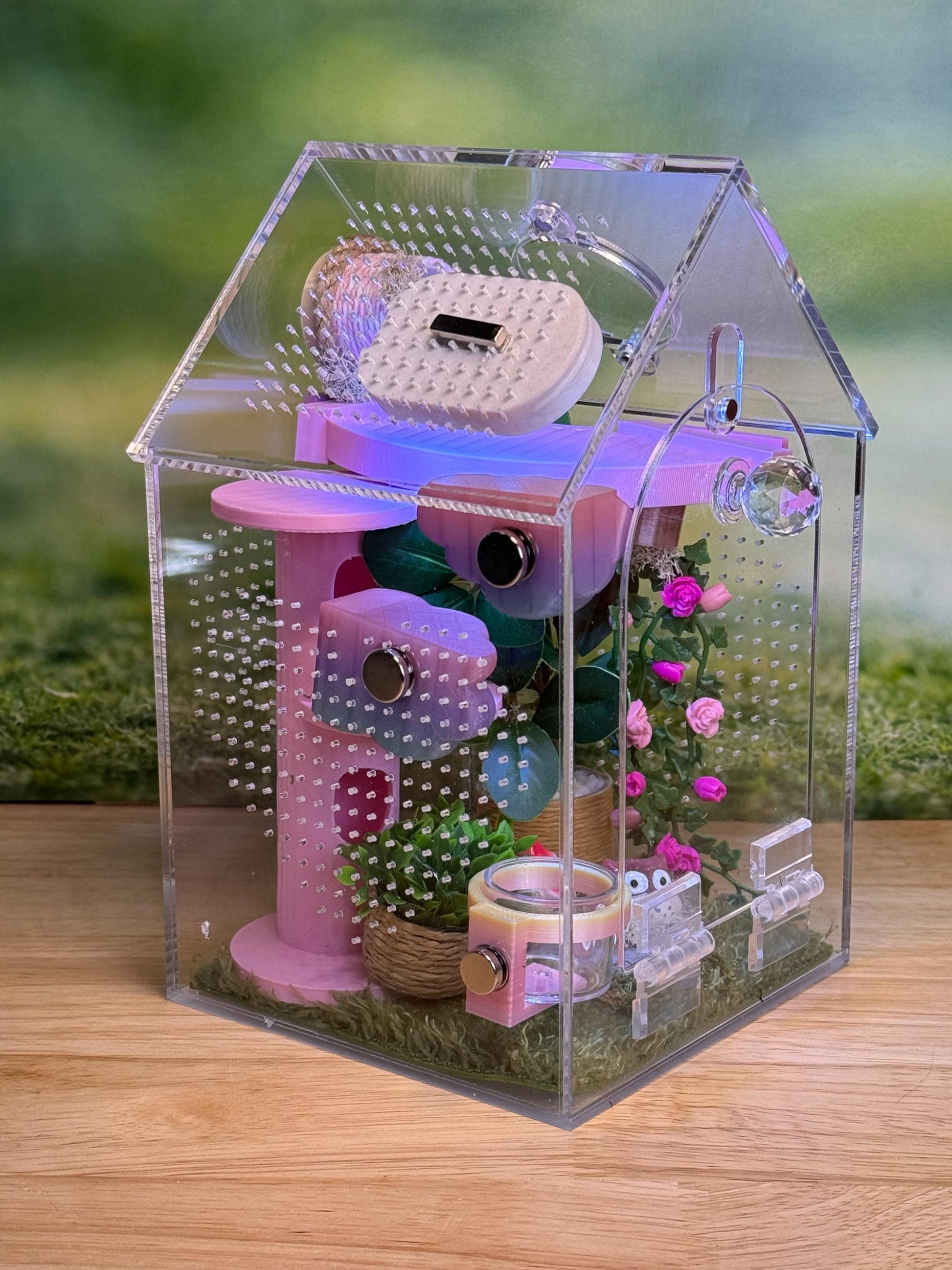 Decorated Acrylic Jumping Spider Enclosure, Front Opening Habitat (8x5x5)
