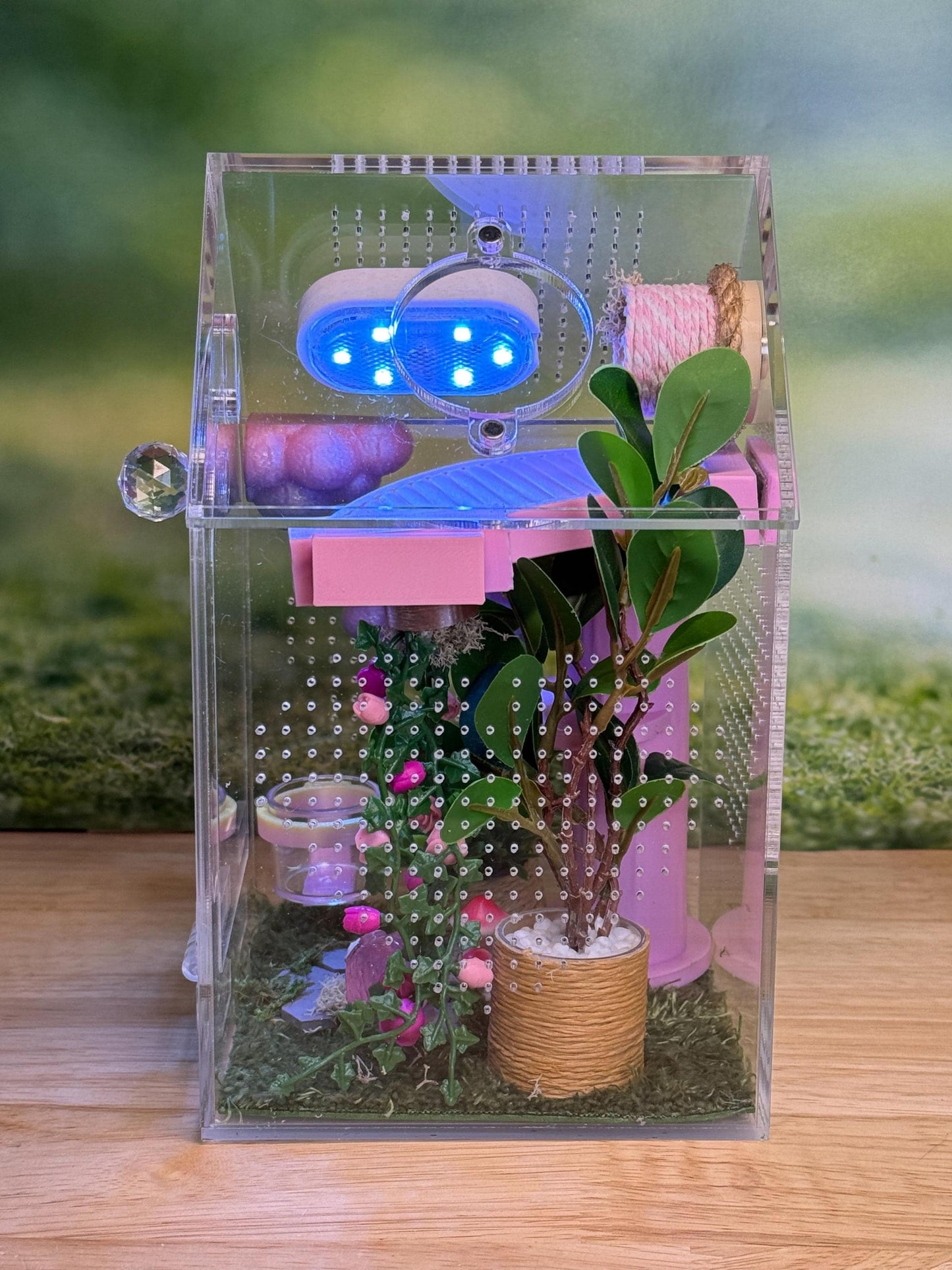 Decorated Acrylic Jumping Spider Enclosure, Front Opening Habitat (8x5x5)