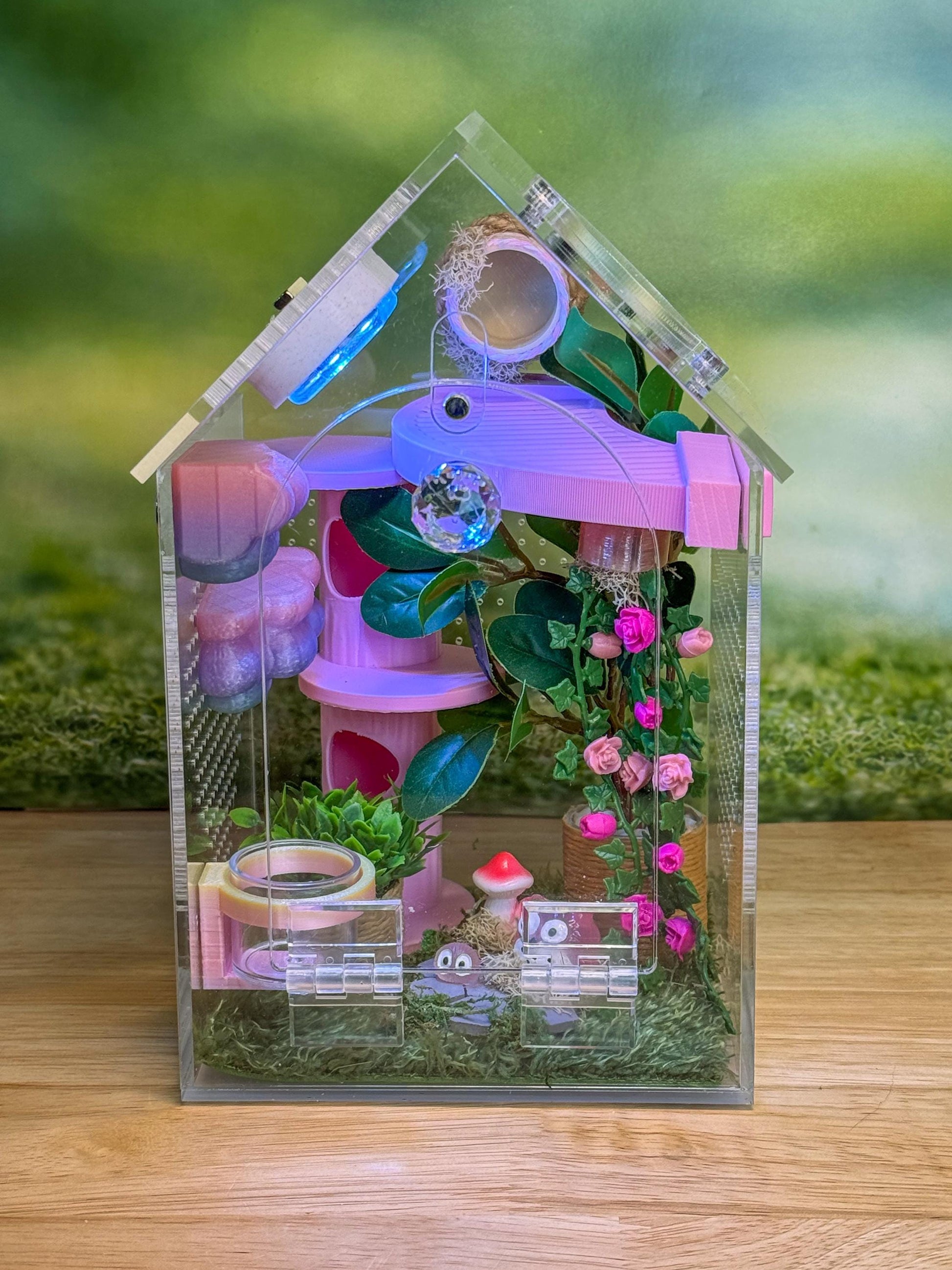 Decorated Acrylic Jumping Spider Enclosure, Front Opening Habitat (8x5x5)