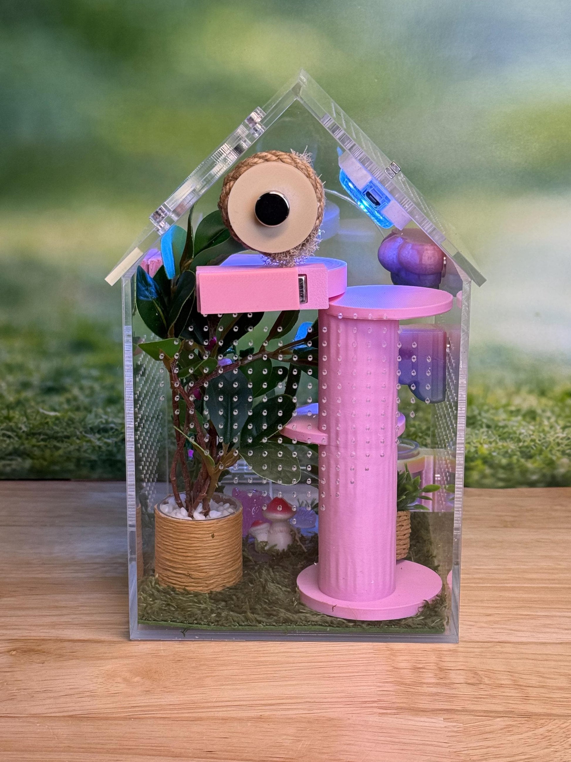 Decorated Acrylic Jumping Spider Enclosure, Front Opening Habitat (8x5x5)