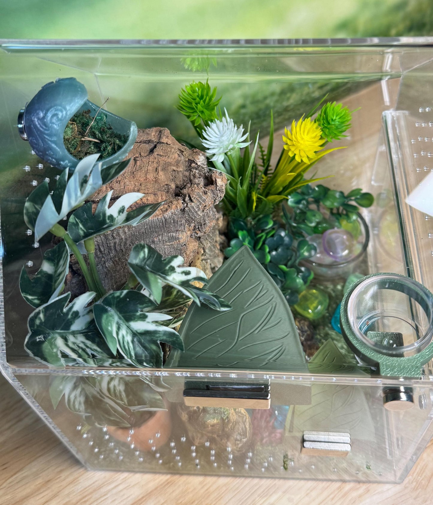 Large Decorated Acrylic Jumping Spider Enclosure, Front Opening Habitat (8x6x6)