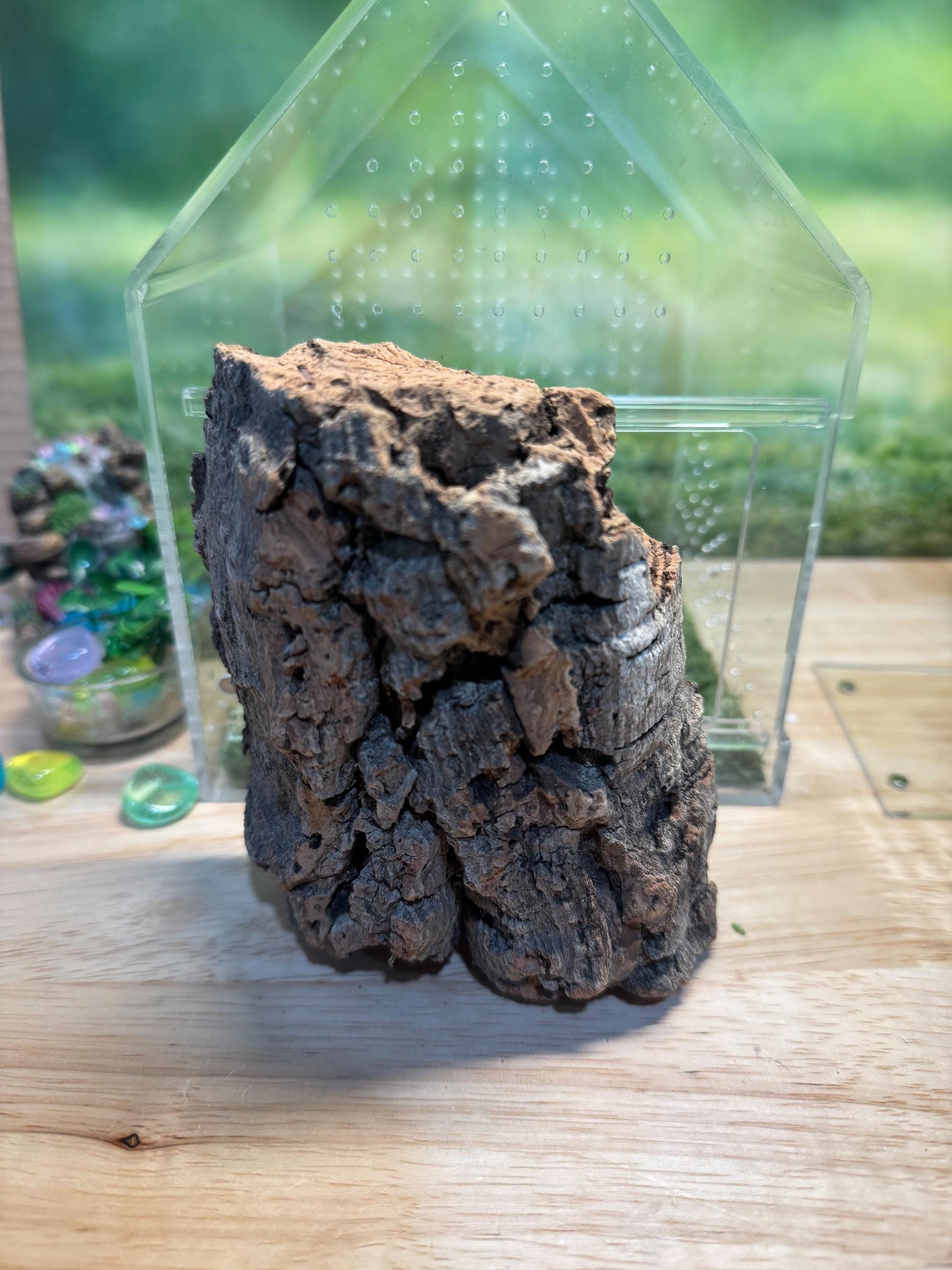 Large Decorated Acrylic Jumping Spider Enclosure, Front Opening Habitat (8x6x6)
