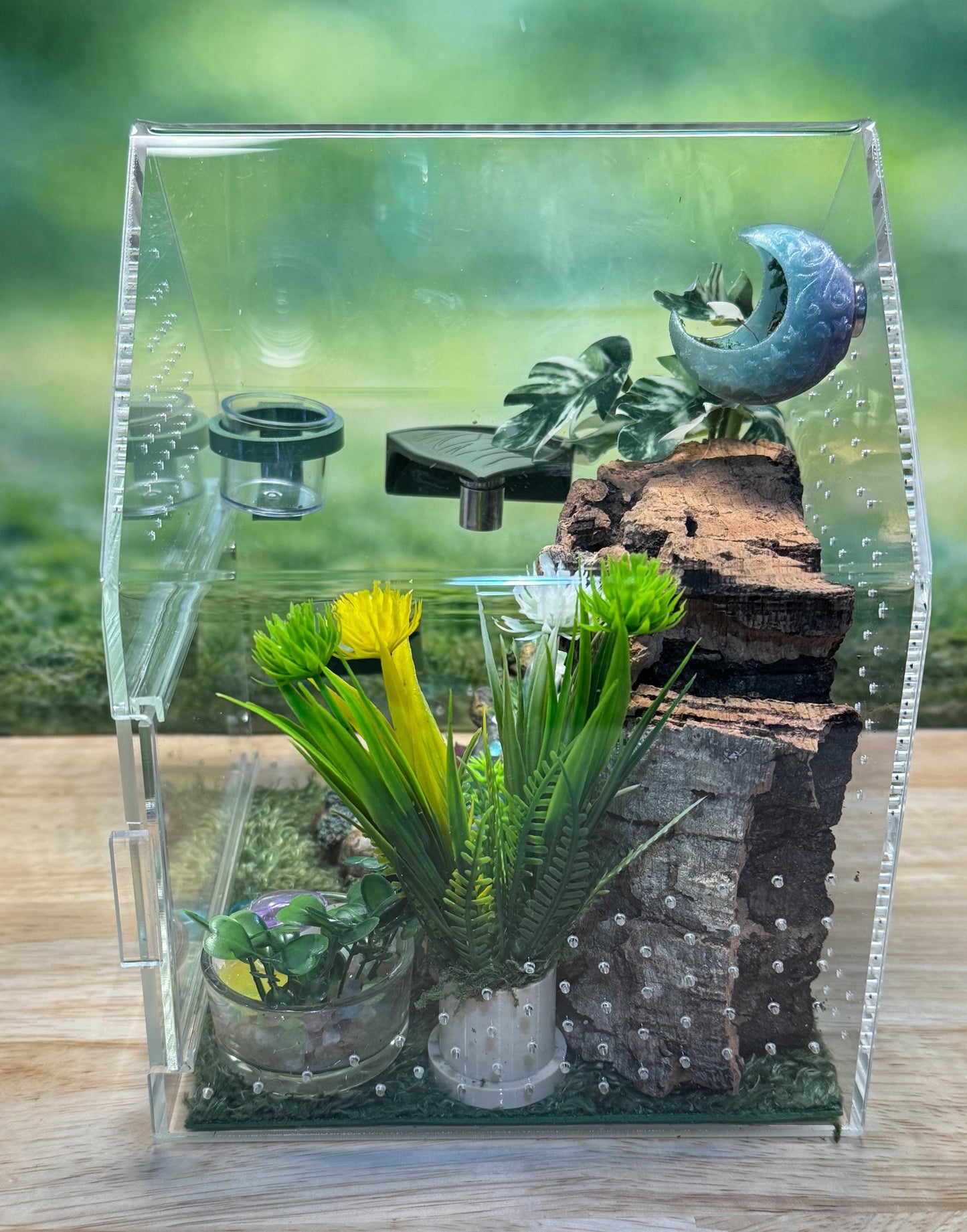 Large Decorated Acrylic Jumping Spider Enclosure, Front Opening Habitat (8x6x6)