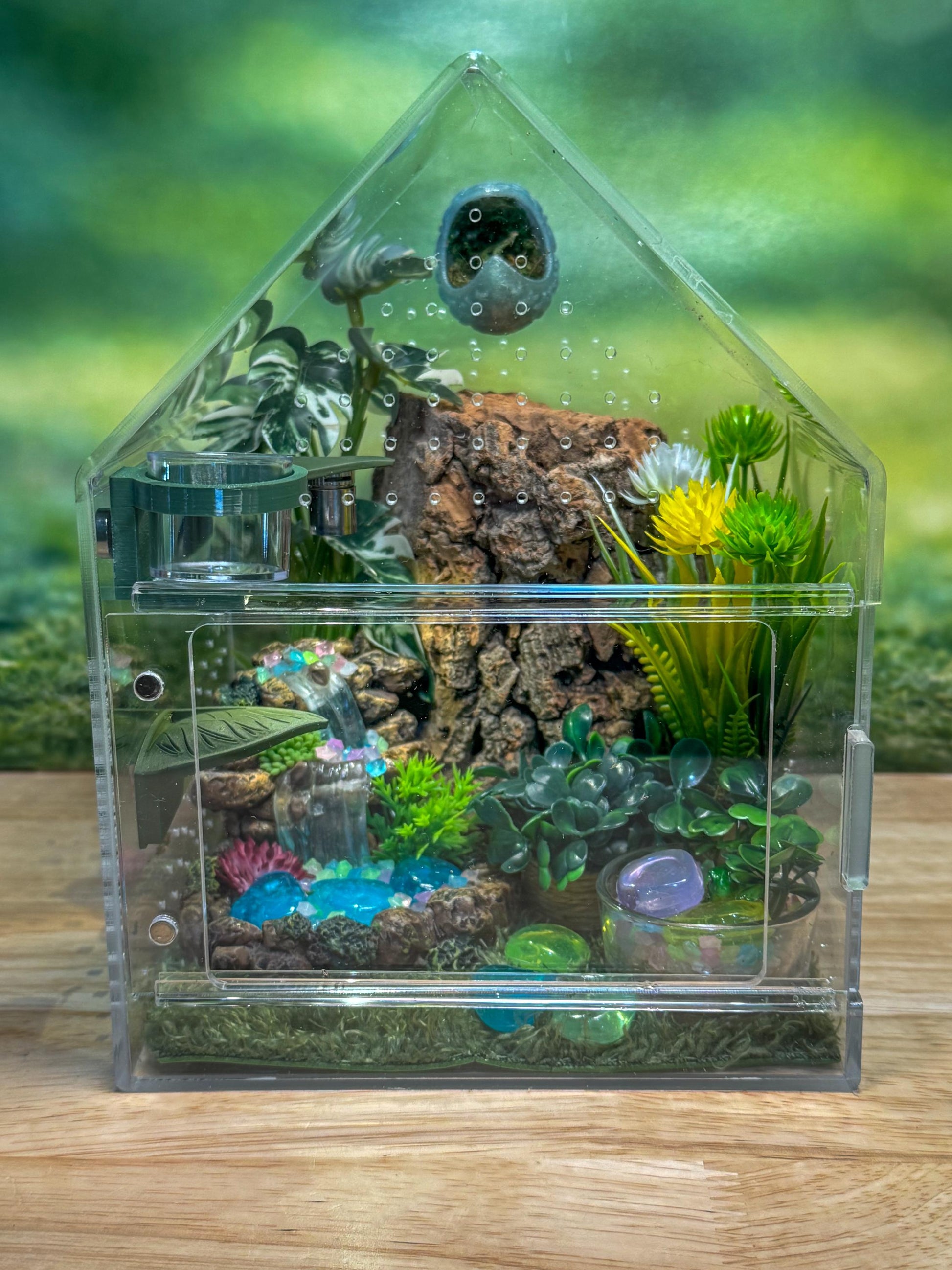 Large Decorated Acrylic Jumping Spider Enclosure, Front Opening Habitat (8x6x6)