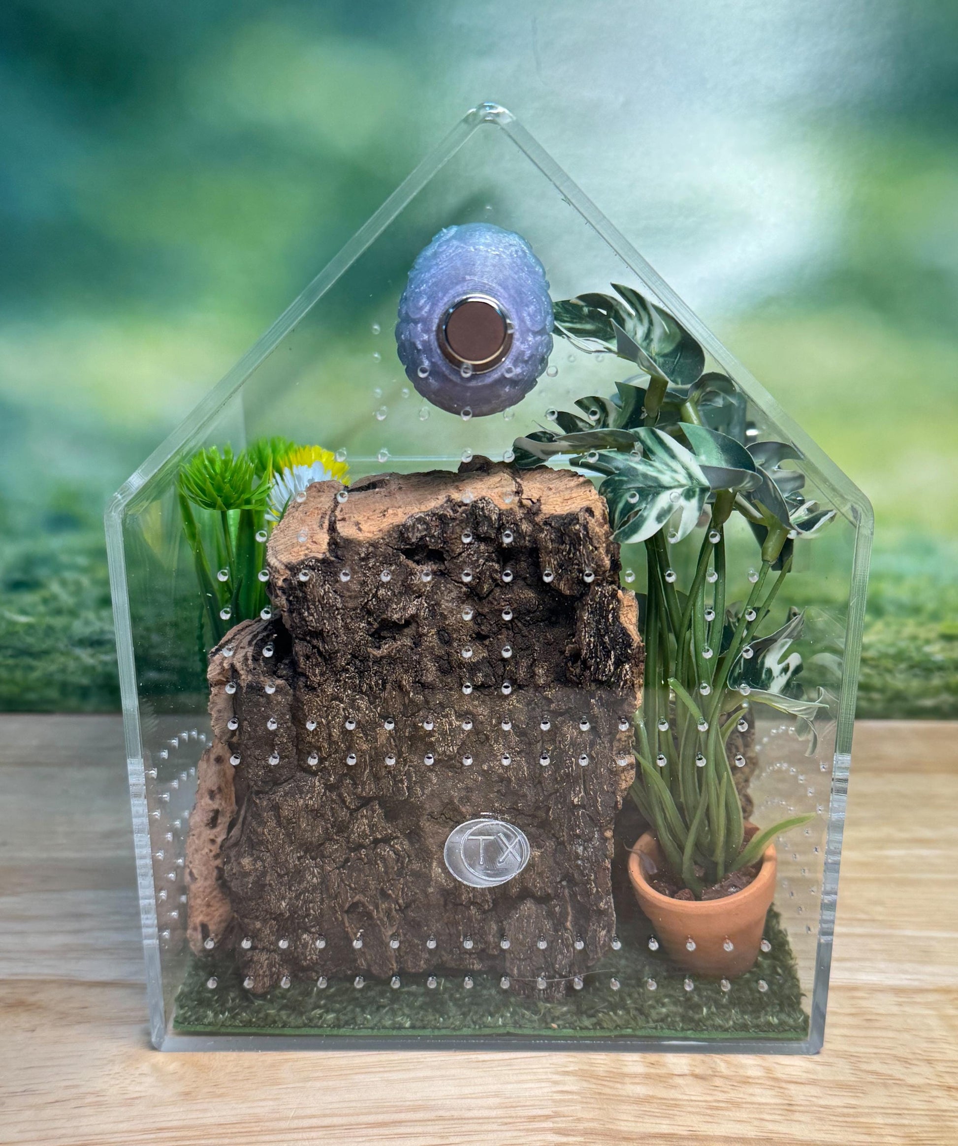 Large Decorated Acrylic Jumping Spider Enclosure, Front Opening Habitat (8x6x6)