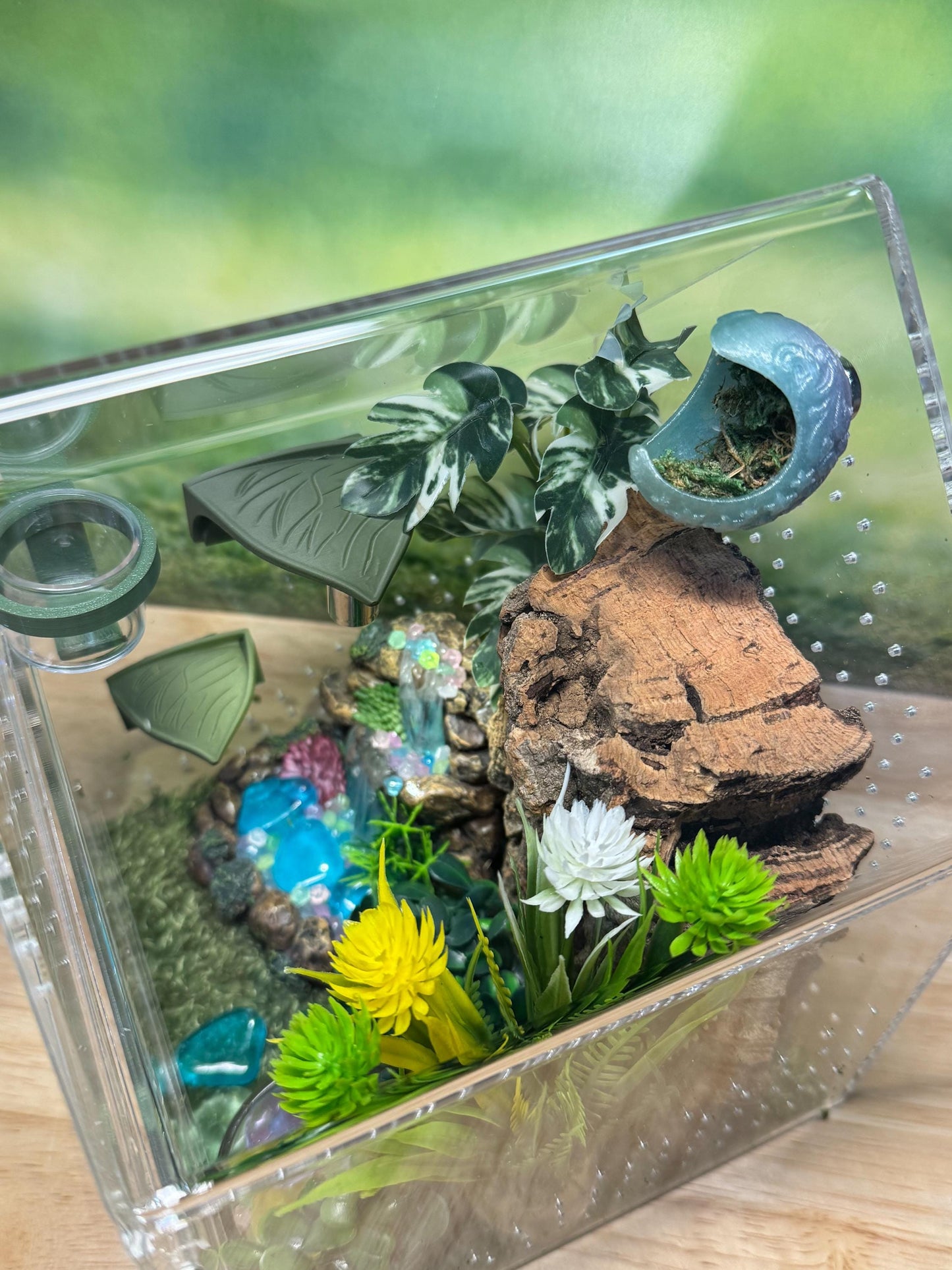 Large Decorated Acrylic Jumping Spider Enclosure, Front Opening Habitat (8x6x6)