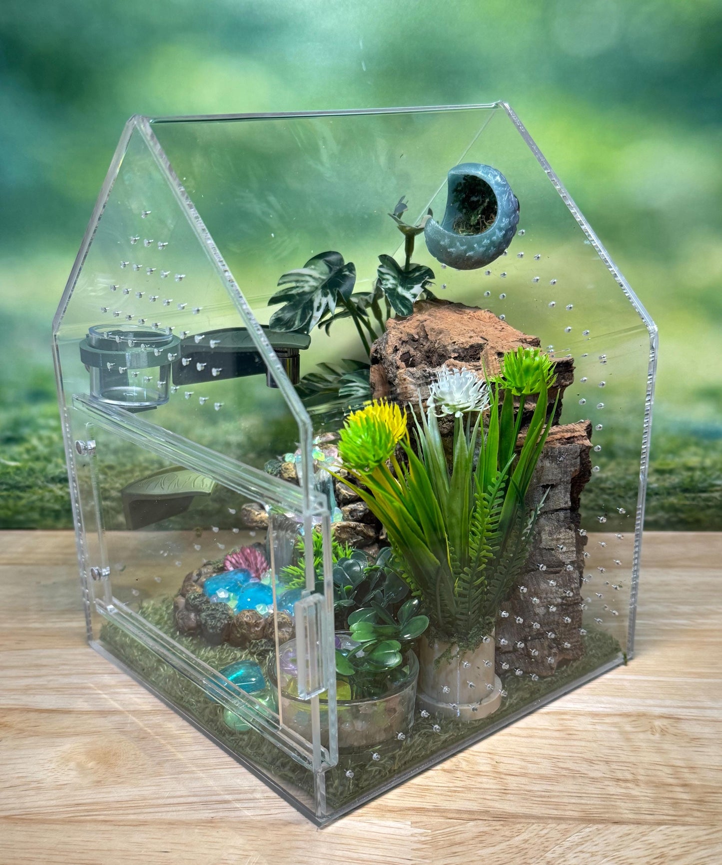 Large Decorated Acrylic Jumping Spider Enclosure, Front Opening Habitat (8x6x6)
