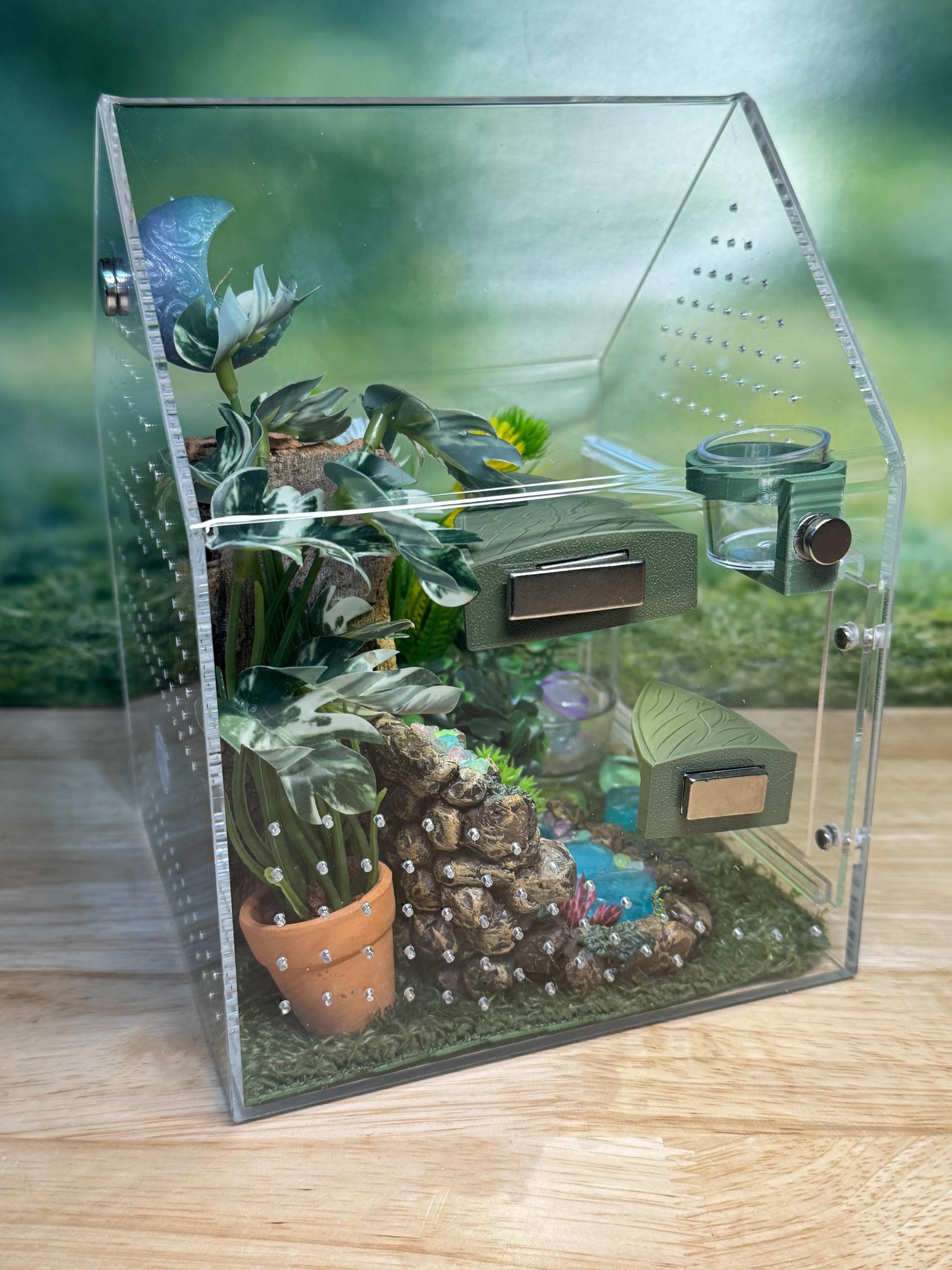 Large Decorated Acrylic Jumping Spider Enclosure, Front Opening Habitat (8x6x6)