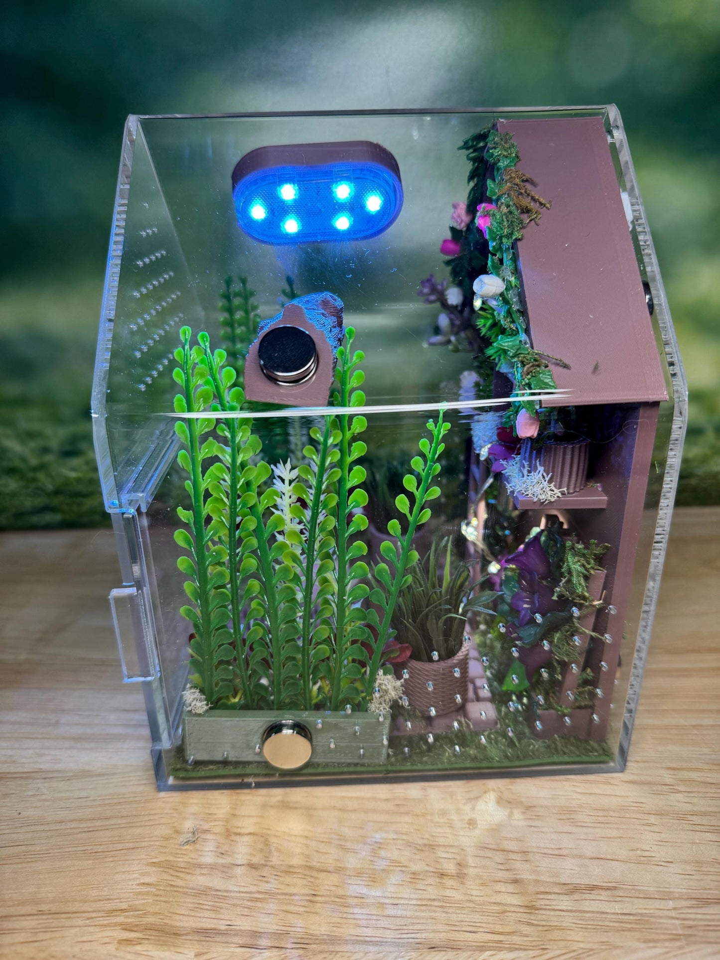 Large Decorated Acrylic Jumping Spider Enclosure, Front Opening Habitat (8x6x6)