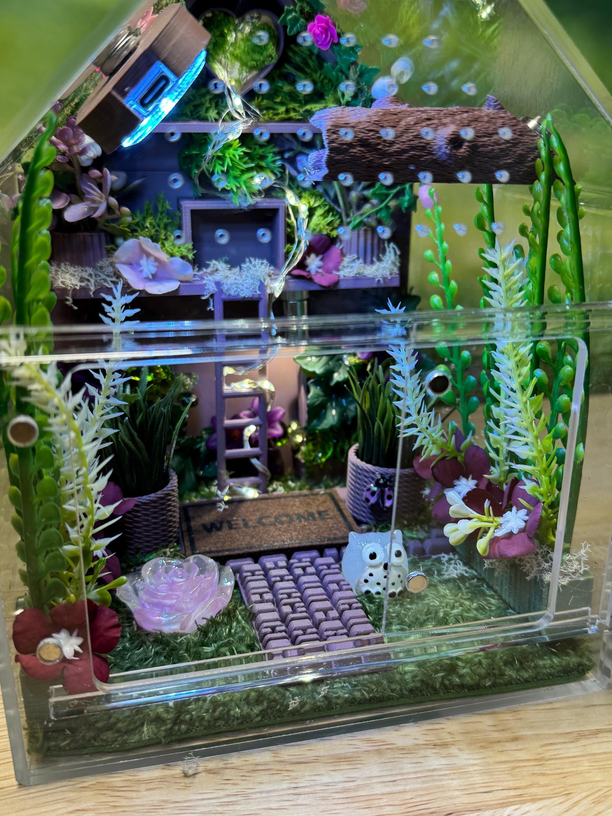 Large Decorated Acrylic Jumping Spider Enclosure, Front Opening Habitat (8x6x6)