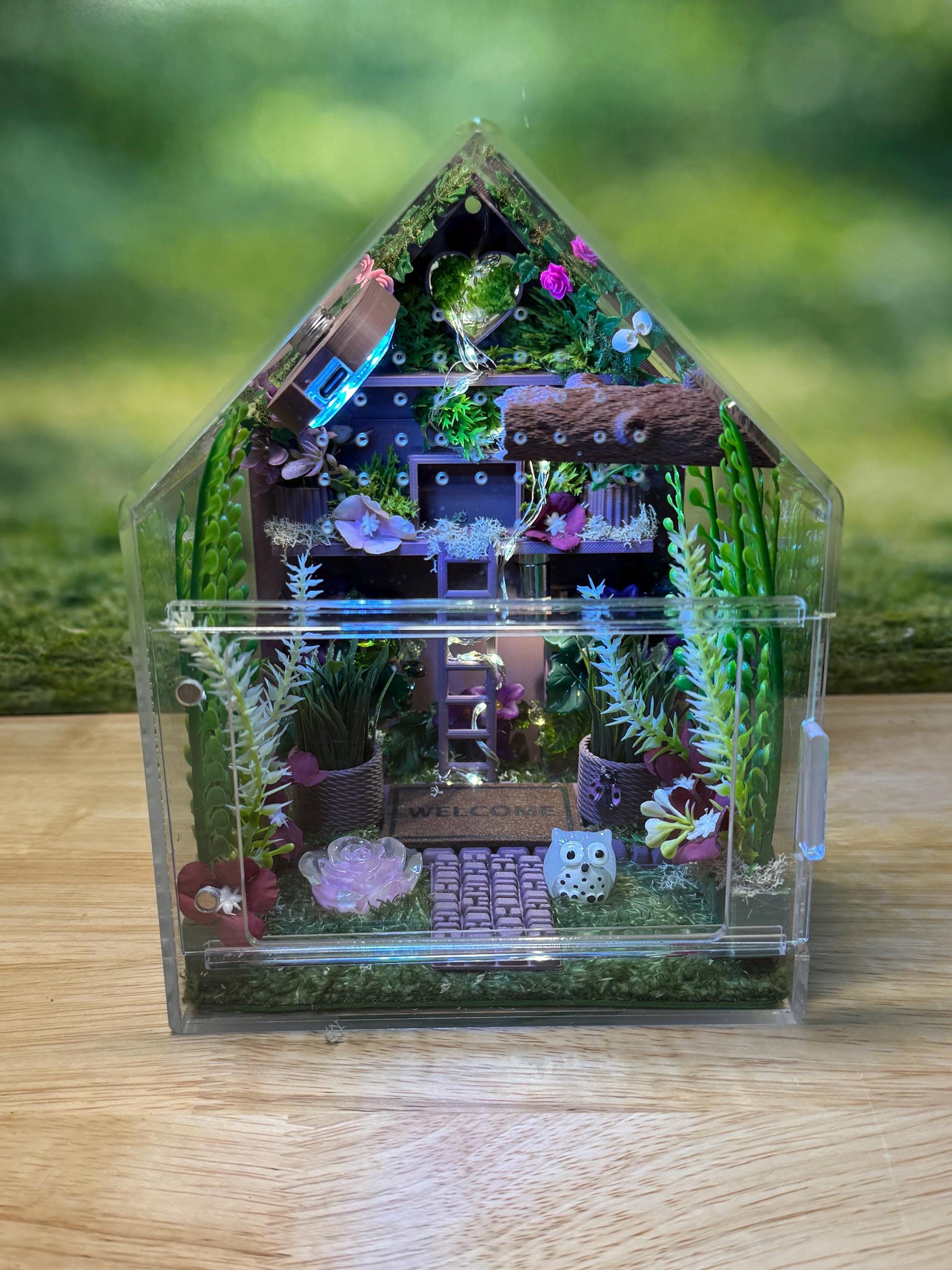 Large Decorated Acrylic Jumping Spider Enclosure, Front Opening Habitat (8x6x6)