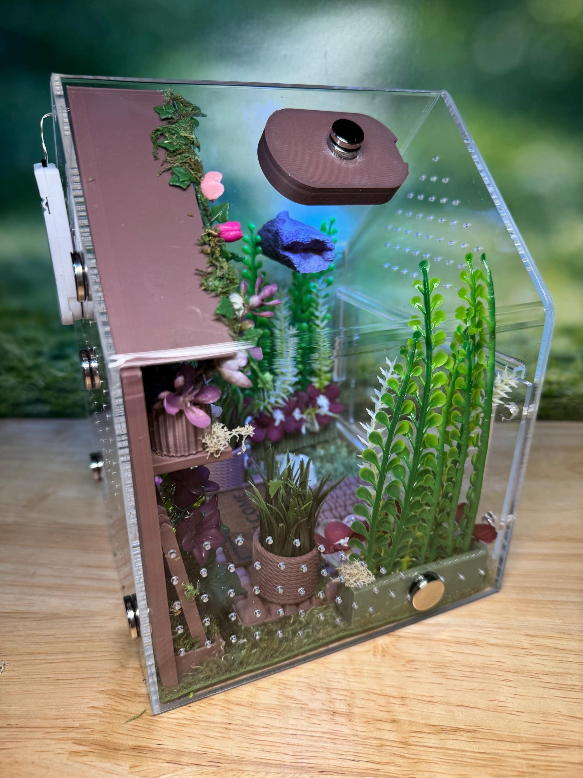 Large Decorated Acrylic Jumping Spider Enclosure, Front Opening Habitat (8x6x6)