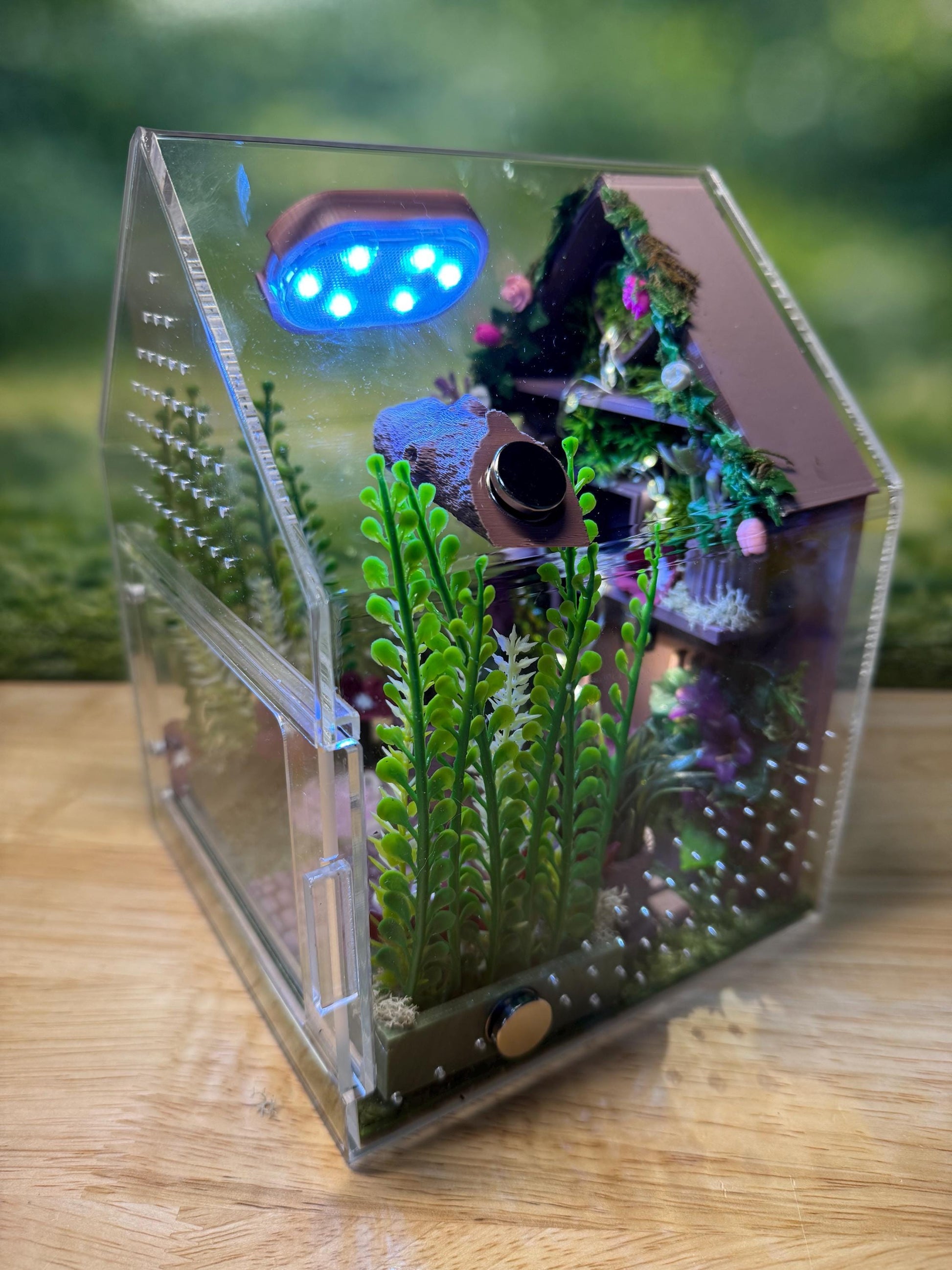 Large Decorated Acrylic Jumping Spider Enclosure, Front Opening Habitat (8x6x6)