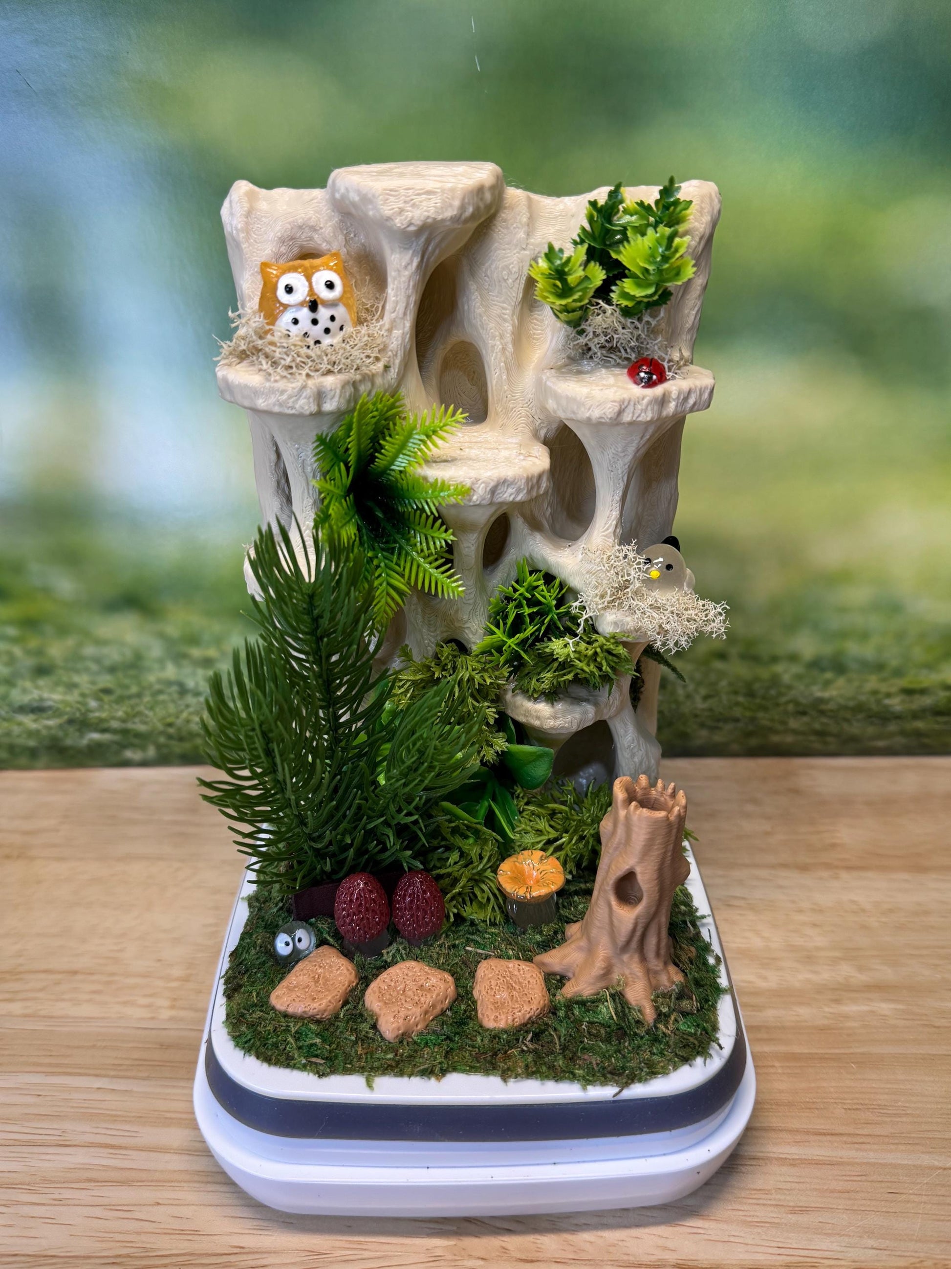 Decorated Jumping Spider Enclosure, 5x5x9, , READY TO SHIP, extra large spider house