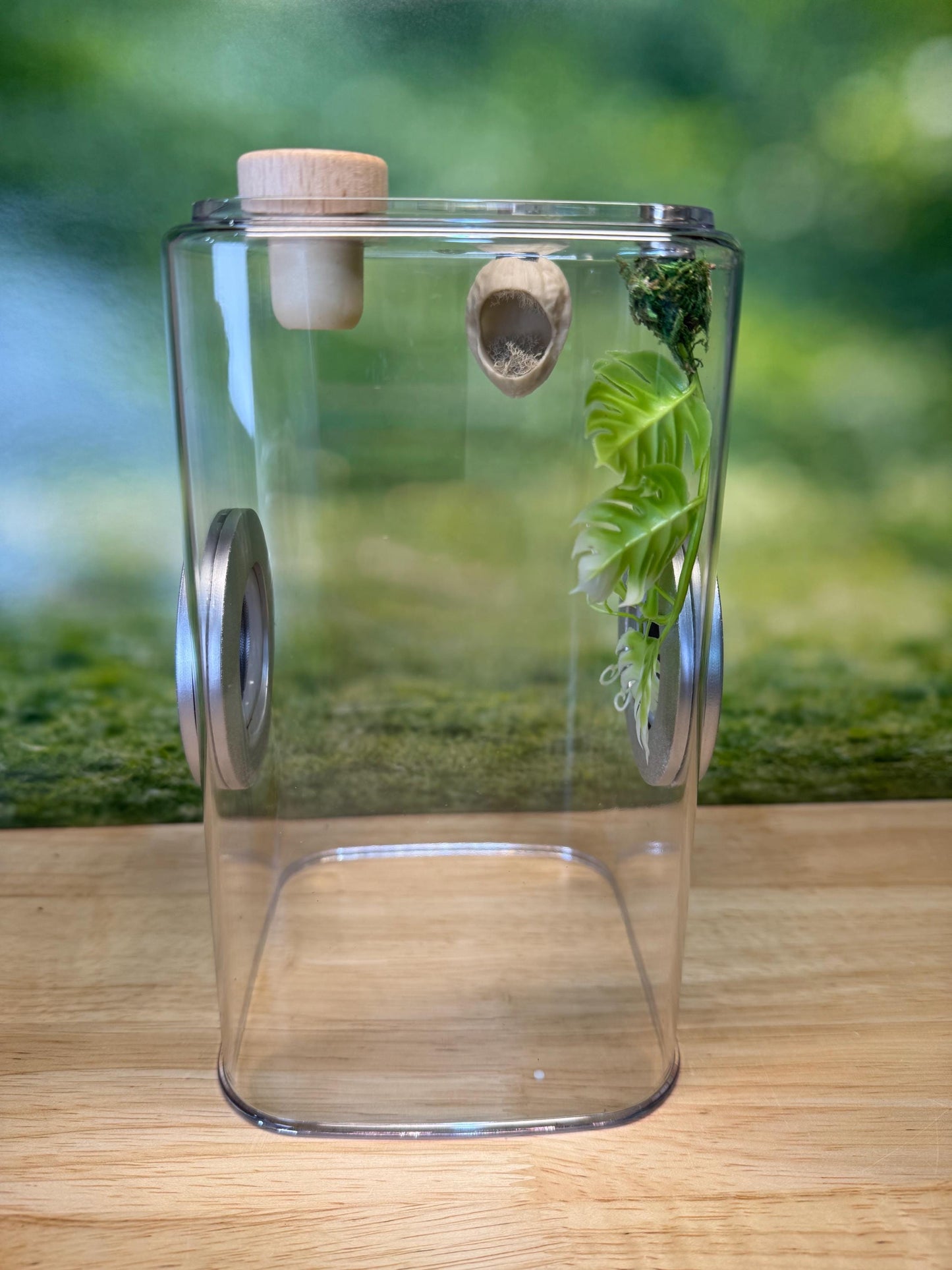 Decorated Jumping Spider Enclosure, 5x5x9, , READY TO SHIP, extra large spider house